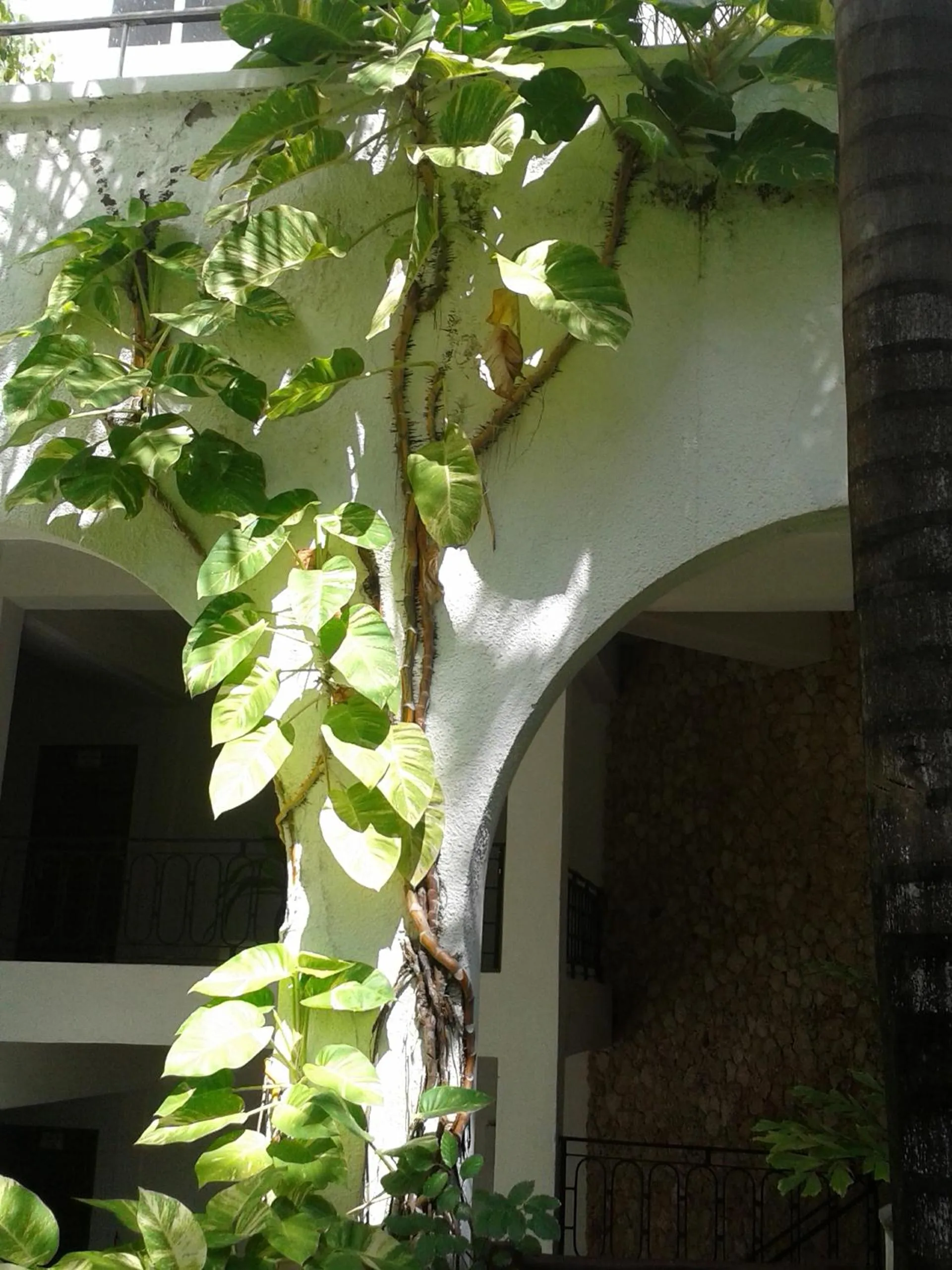 Facade/entrance in Plaza Beach Hotel
