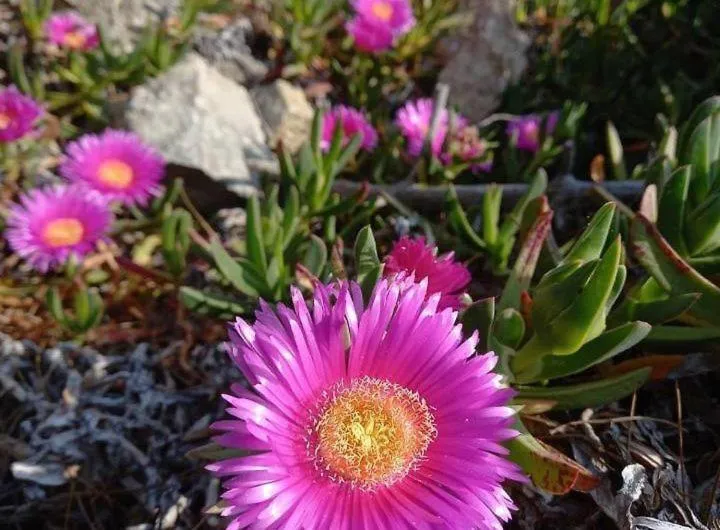 Hotel Gli Acquerelli