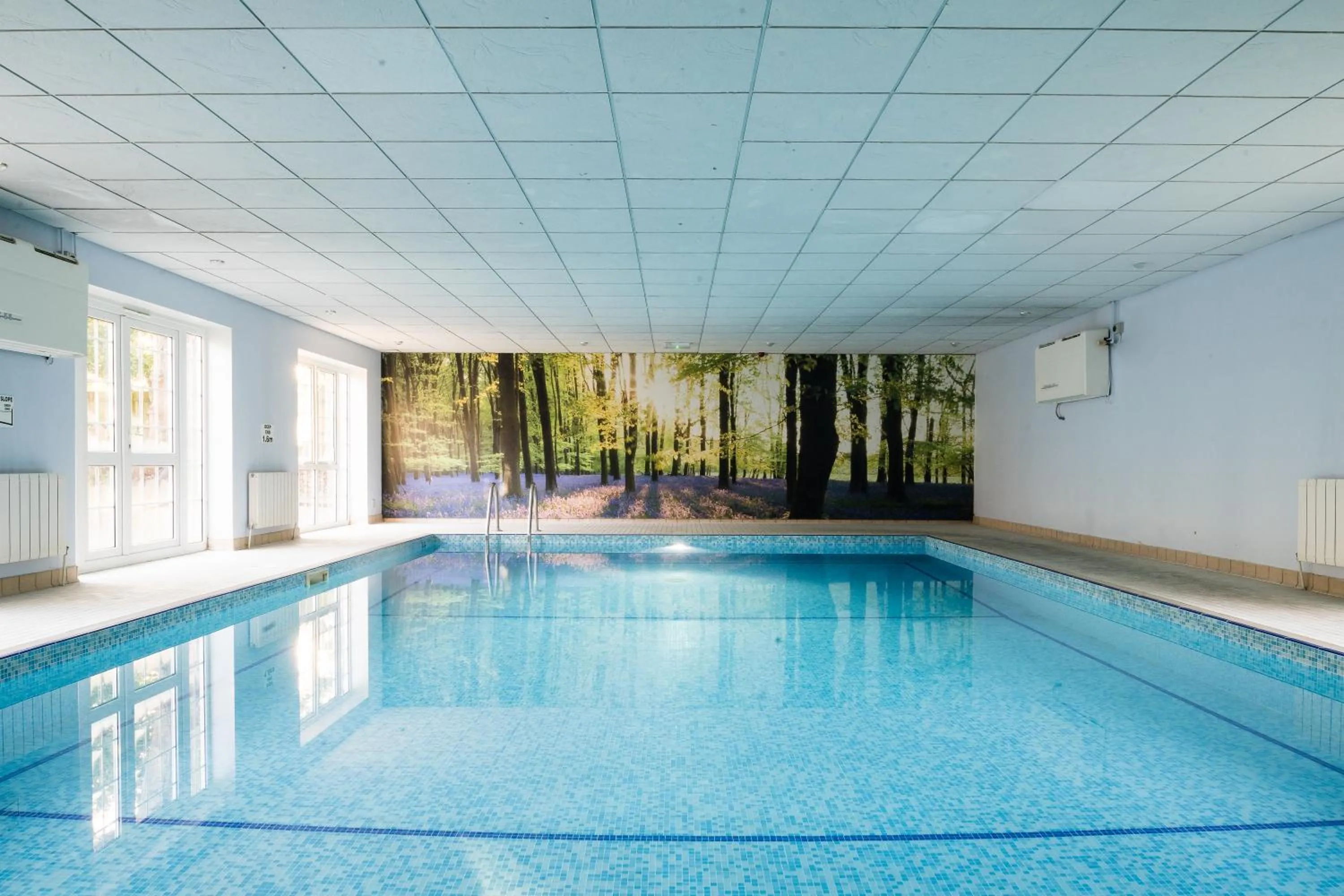 Swimming pool in Forest Lodge Hotel