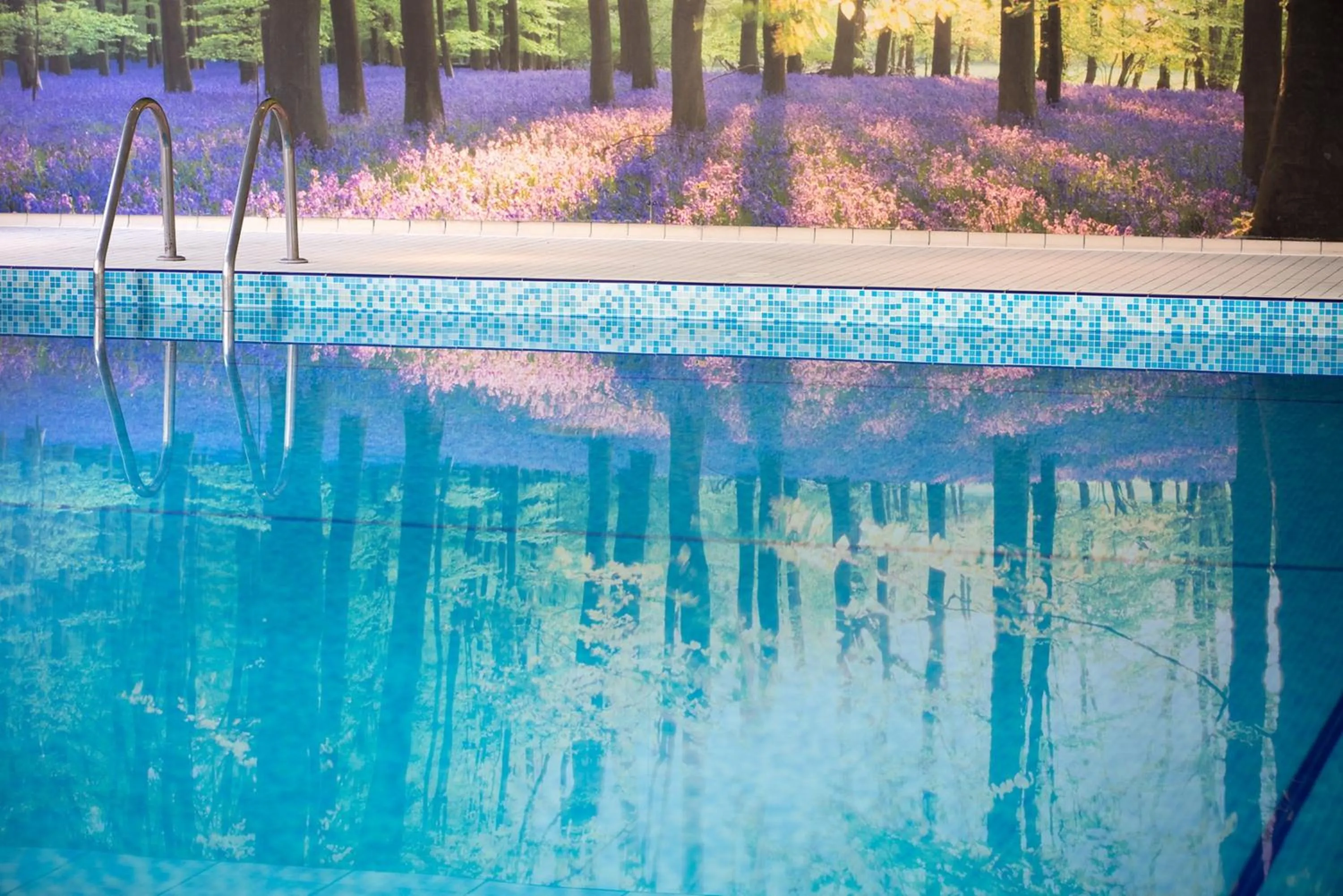 Swimming pool in Forest Lodge Hotel