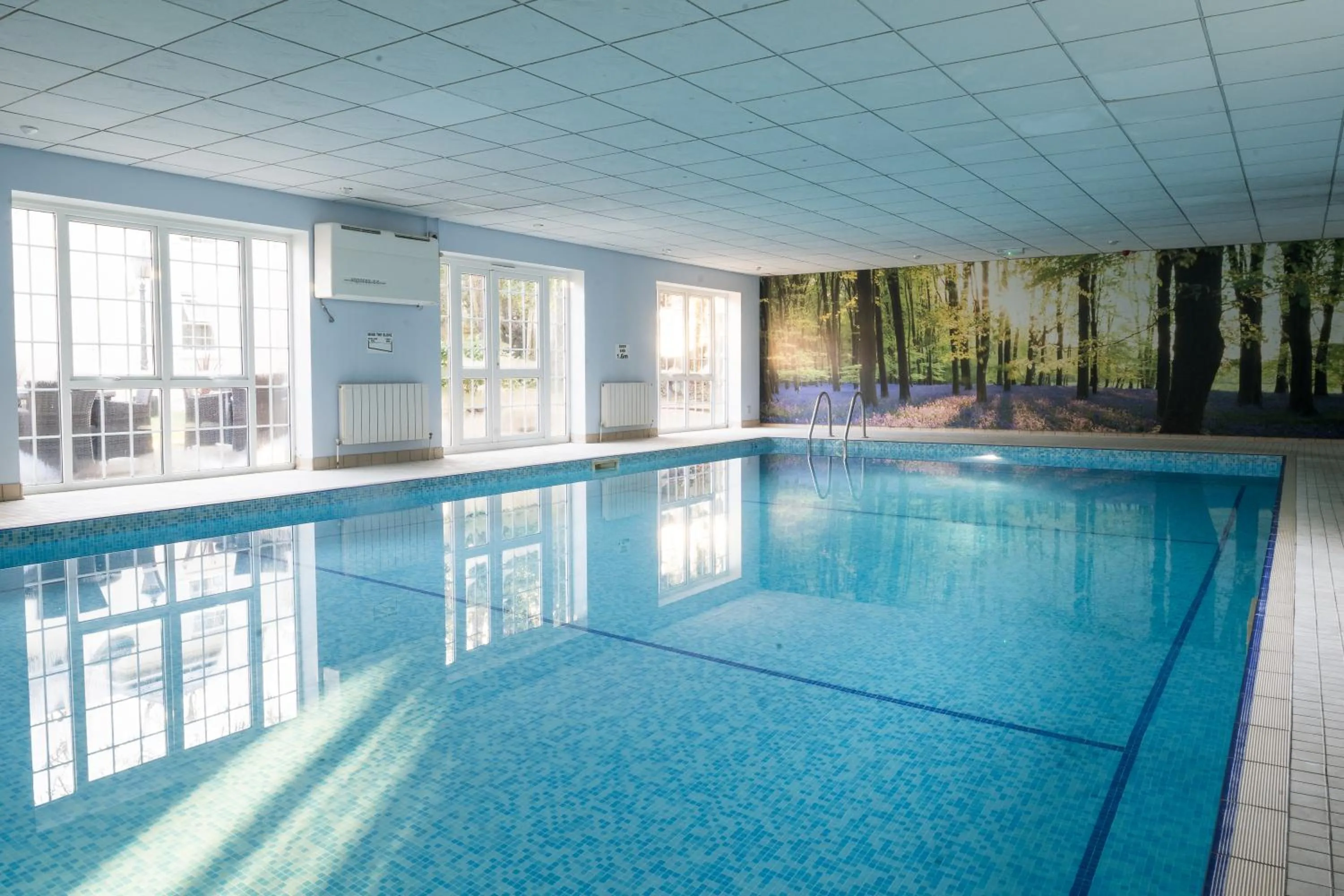 Swimming pool in Forest Lodge Hotel