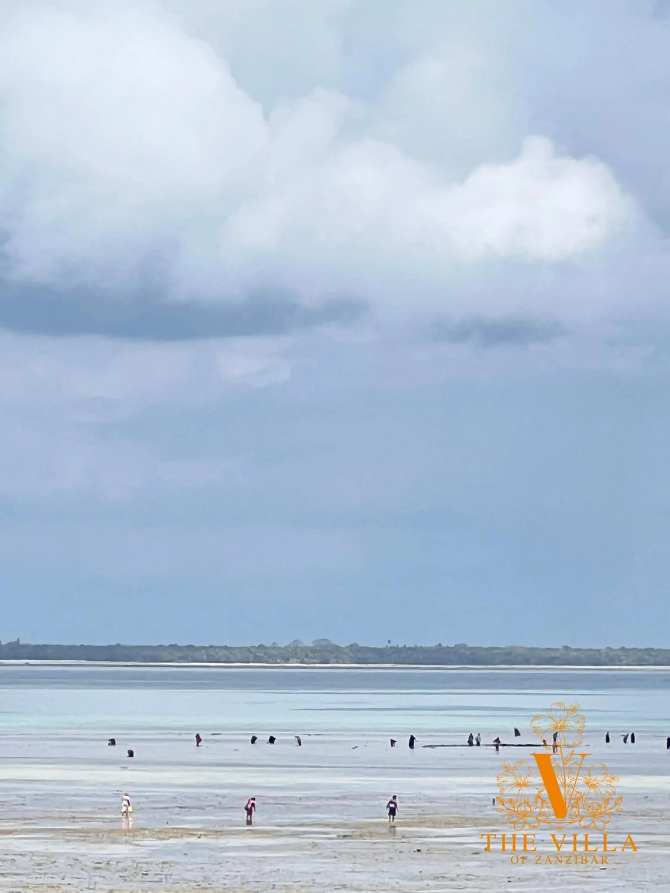 Beach in The Villa of Zanzibar