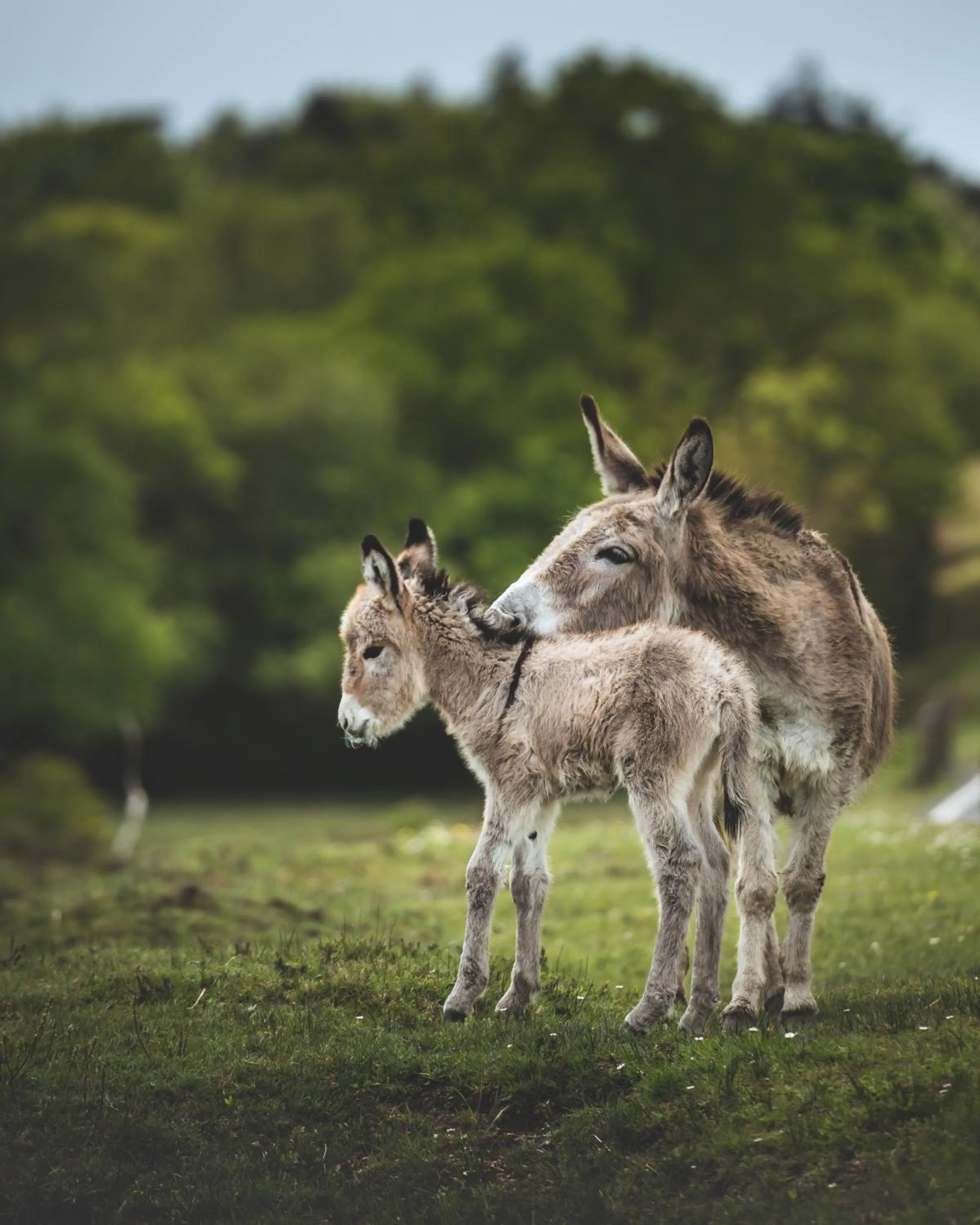 Other in Beaulieu Hotel