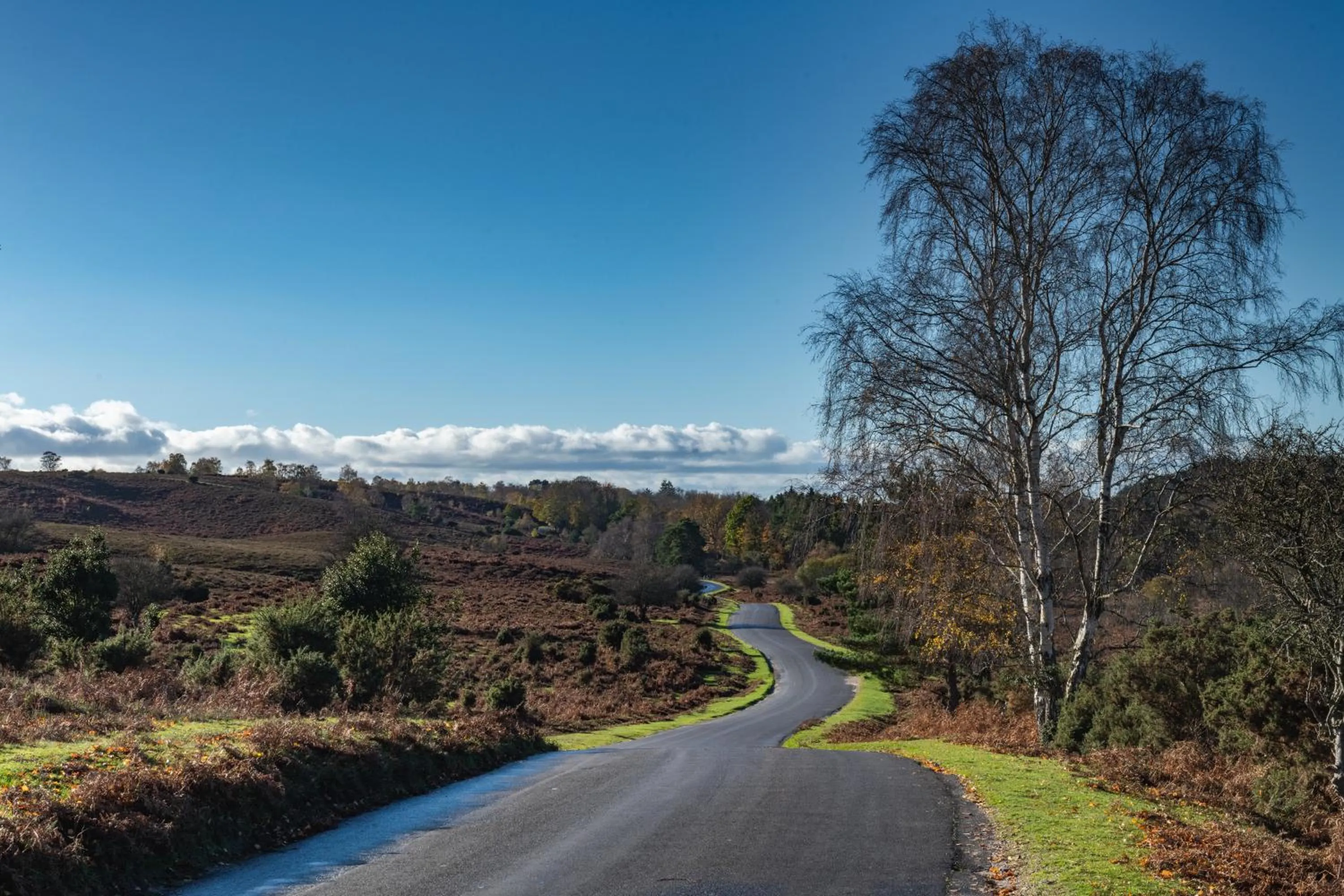 Other in Beaulieu Hotel