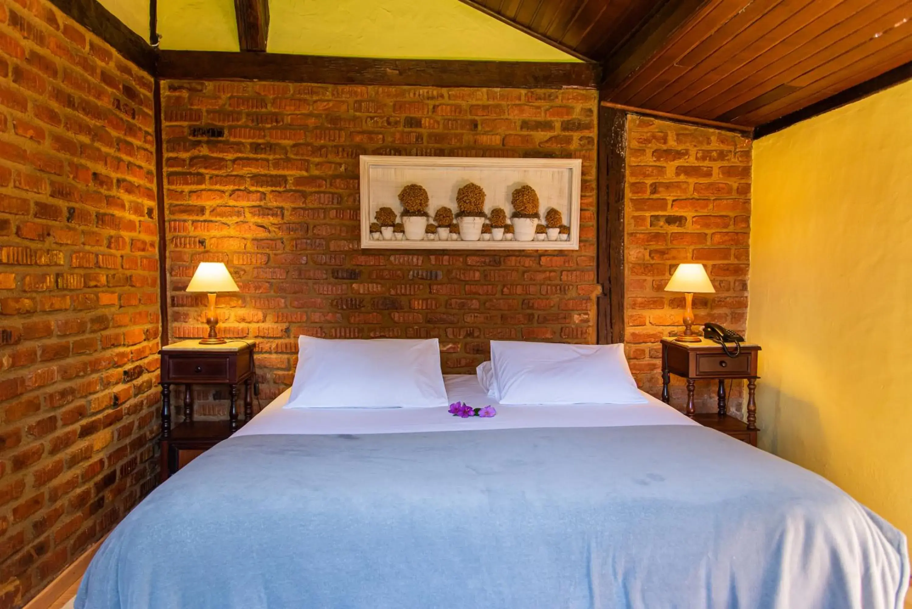 Pousada das Araras Pousada das Araras