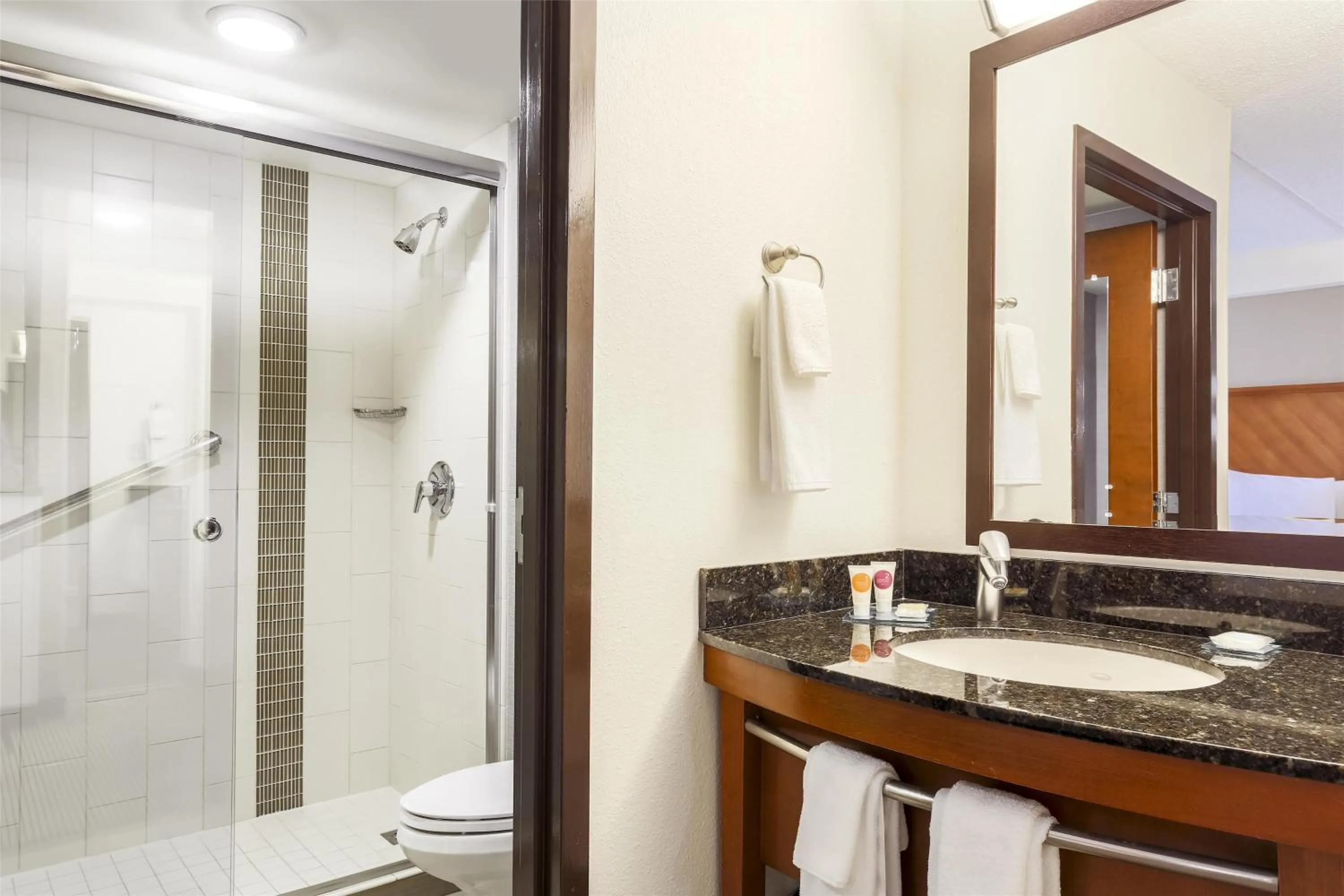 Bathroom in Hyatt Place Fort Worth/Hurst