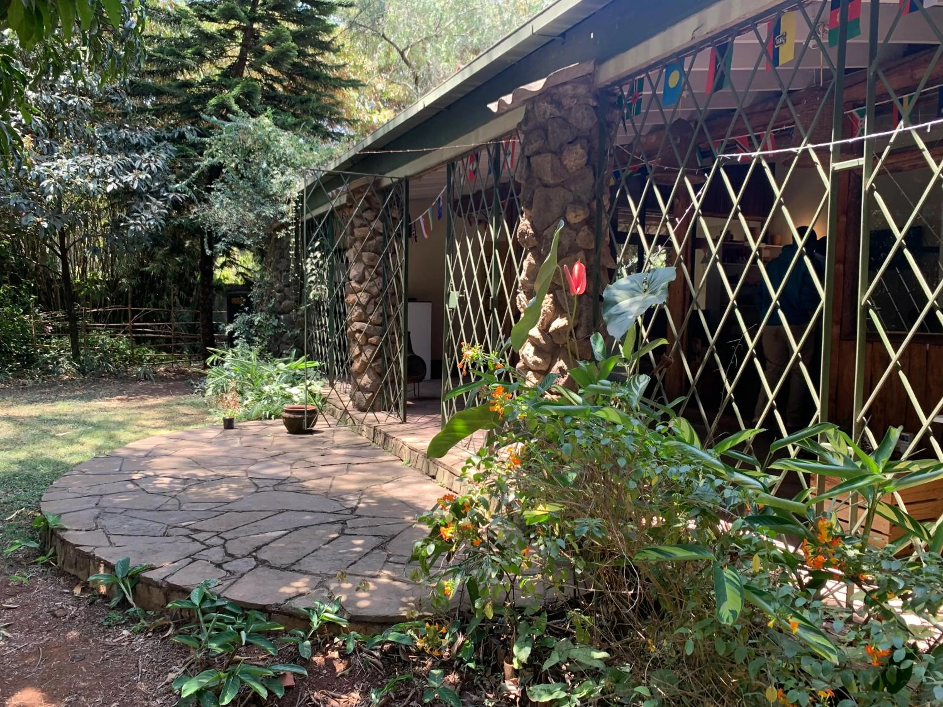 Garden in Mad Vervet Nairobi Backpackers Hostel