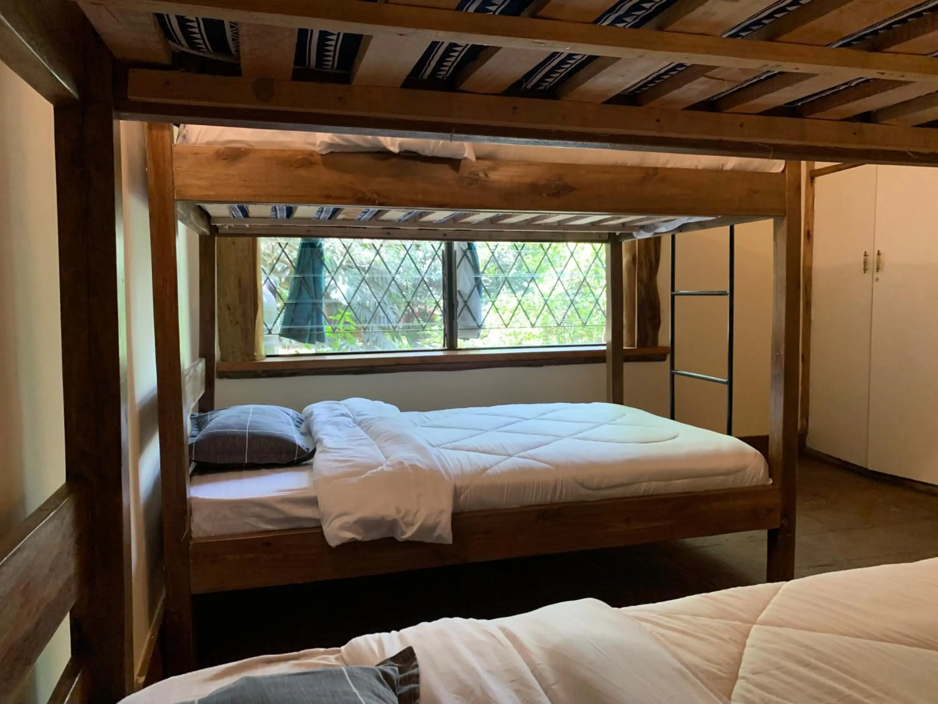 Bed in 4-Bed Female Dormitory Room in Mad Vervet Nairobi Backpackers Hostel Bed in 4-Bed Female Dormitory Room in Mad Vervet Nairobi Backpackers Hostel