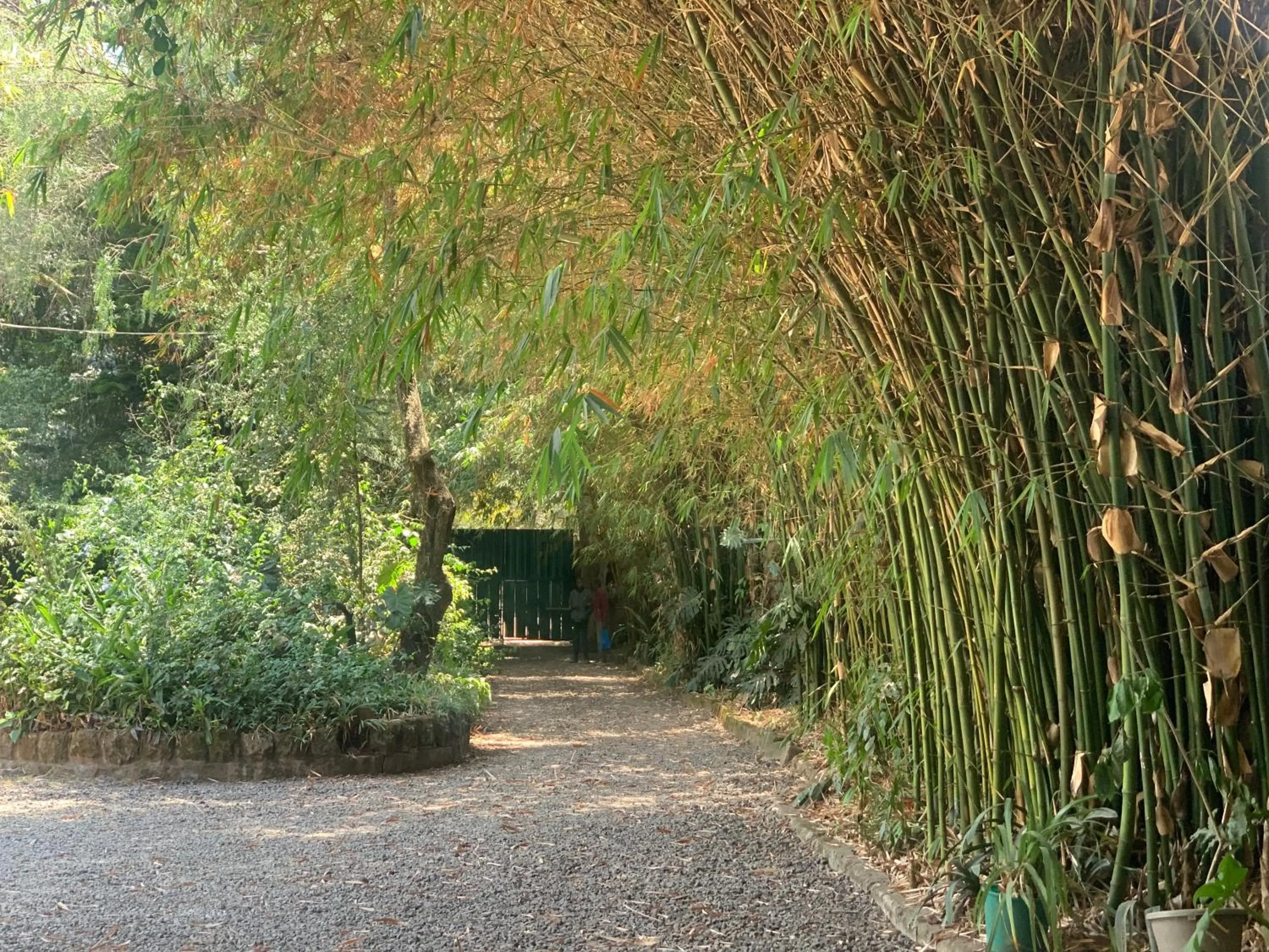 Mad Vervet Nairobi Backpackers Hostel