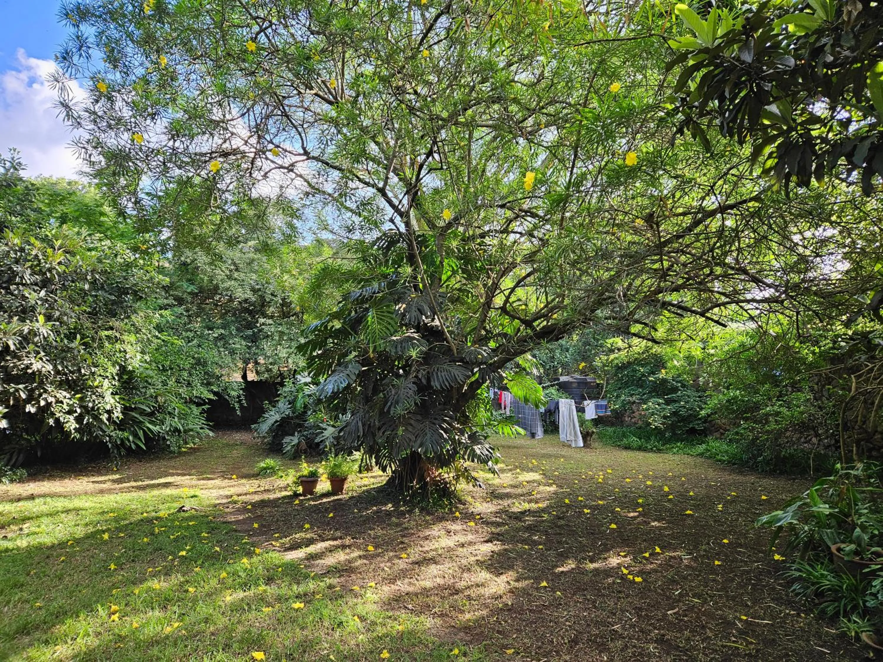 Mad Vervet Nairobi Backpackers Hostel