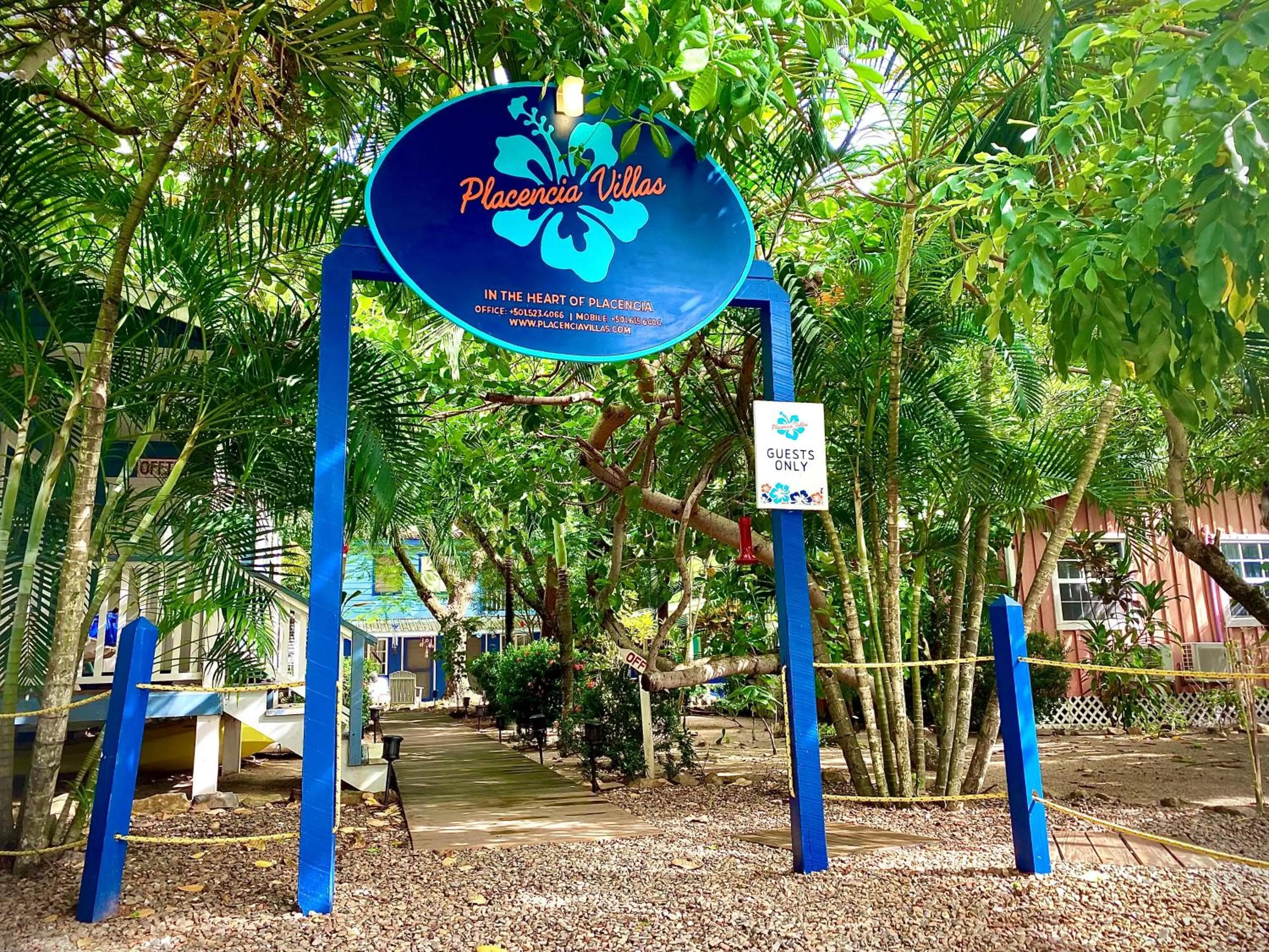 Natural landscape in Placencia Villas
