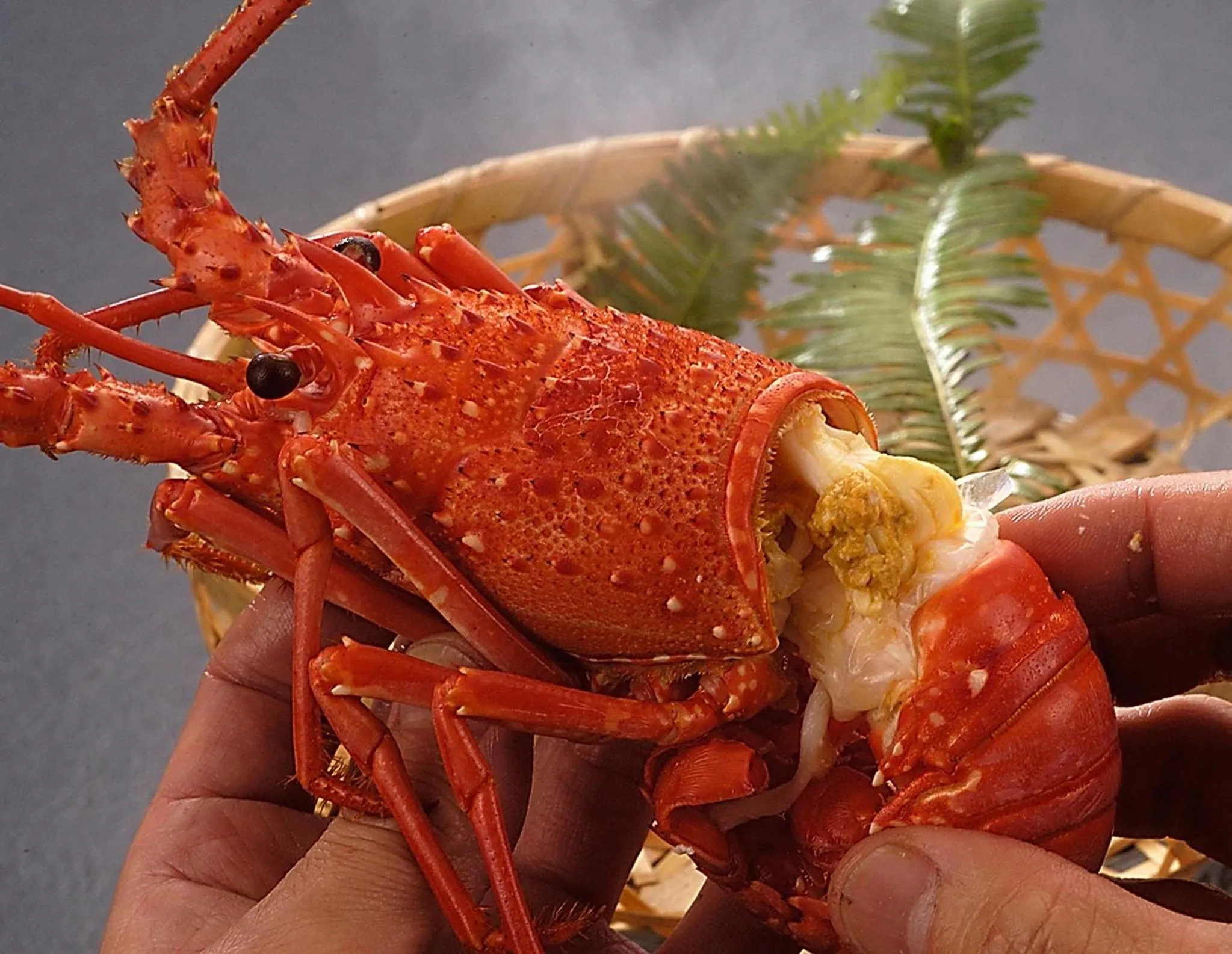 Food close-up in Michishio