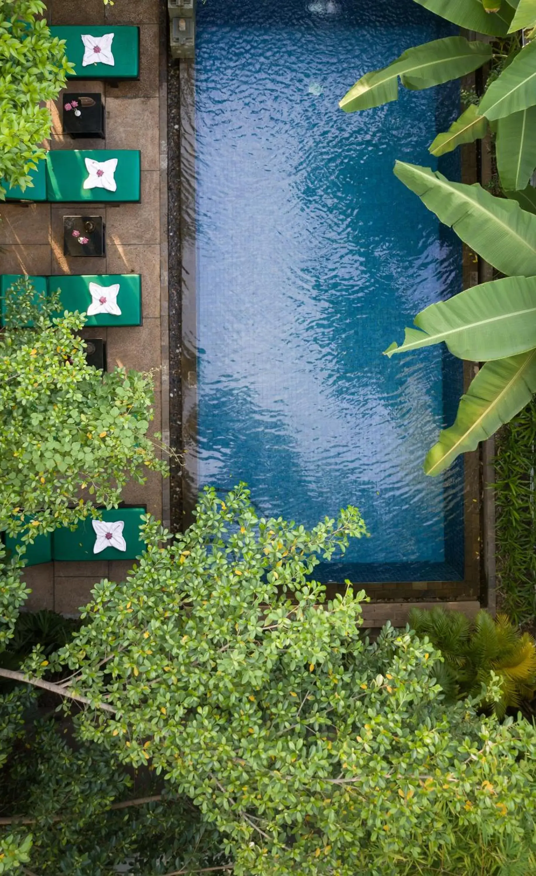 The Community - Siem Reap The Community - Siem Reap