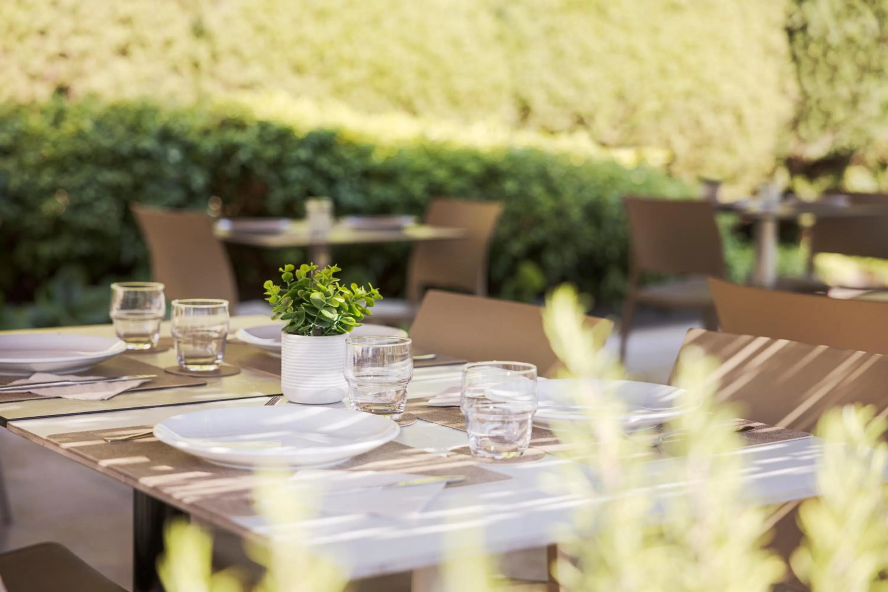 Garden in Casa Marcial (adults only)