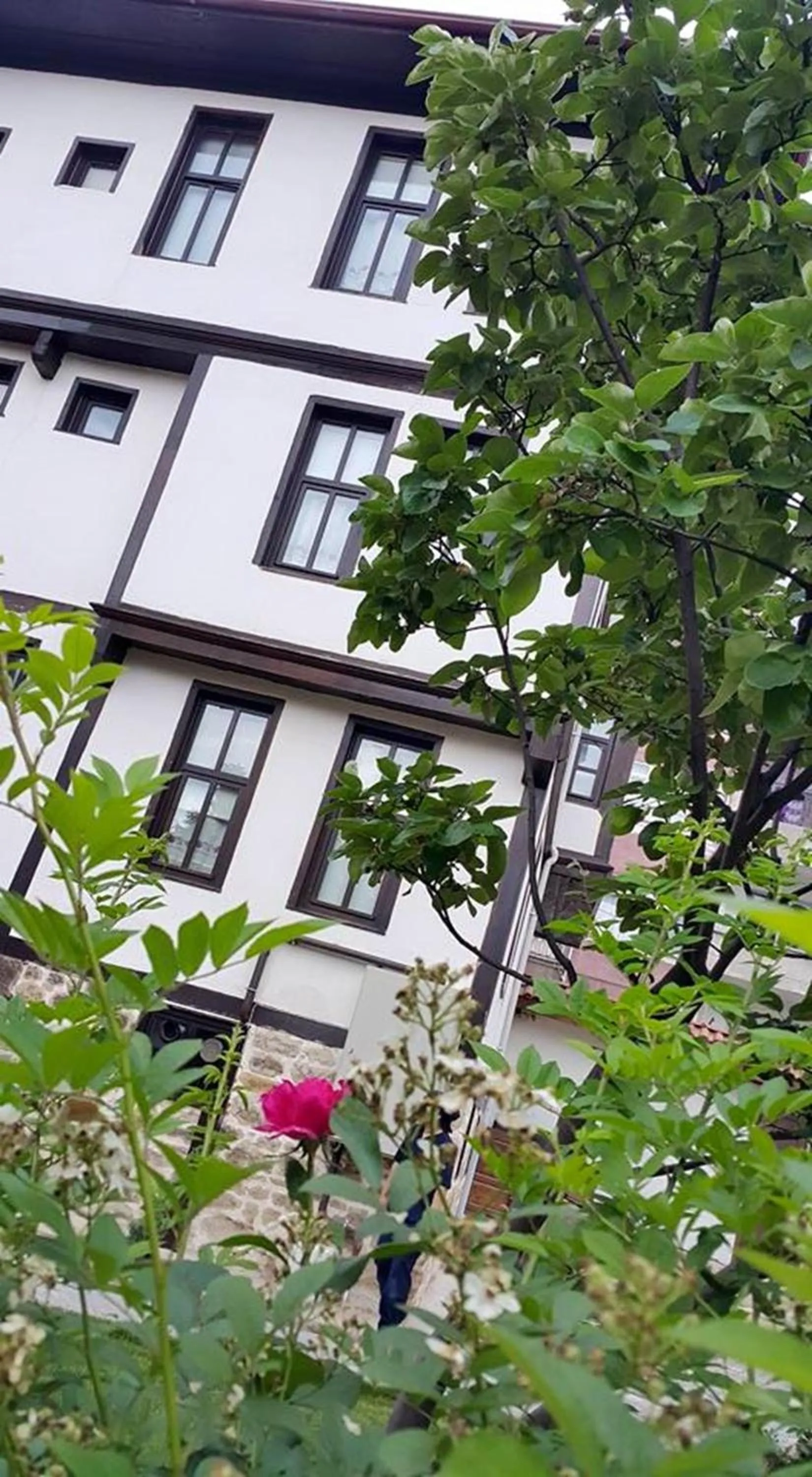 Bird's eye view in Kadıoğlu Konağı