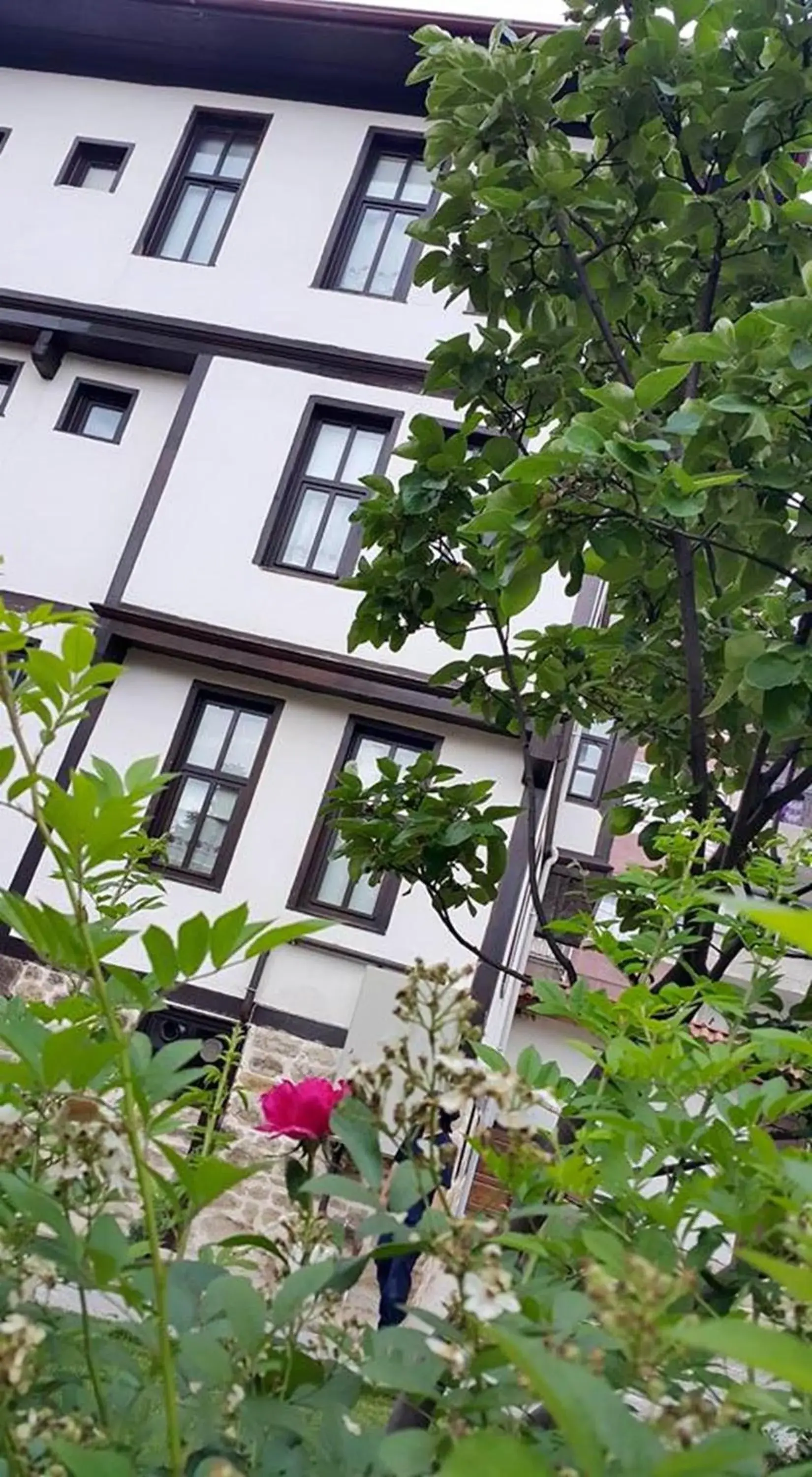 Bird's eye view in Kadıoğlu Konağı Bird's eye view in Kadıoğlu Konağı