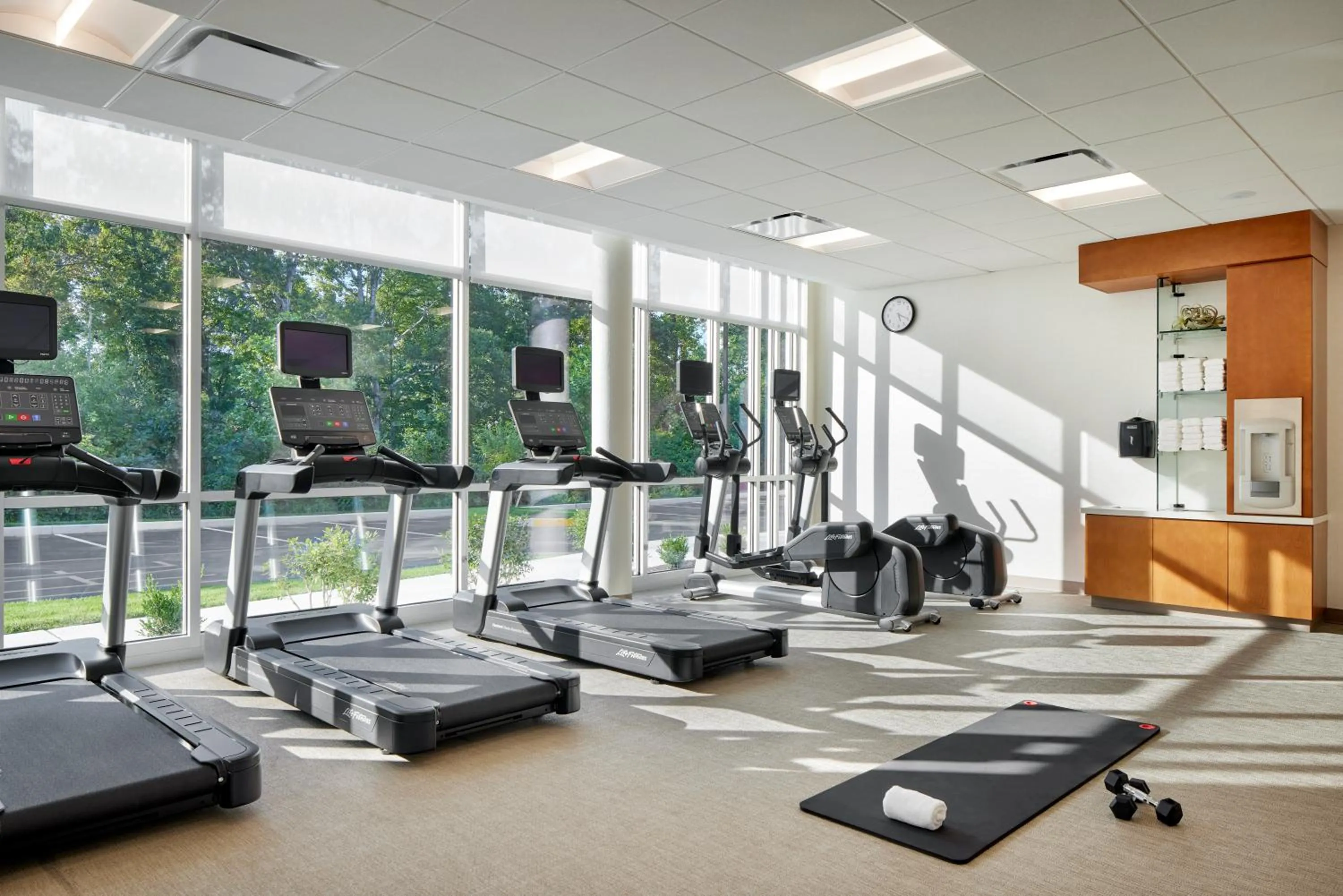 Fitness centre/facilities in SpringHill Suites by Marriott Frederica