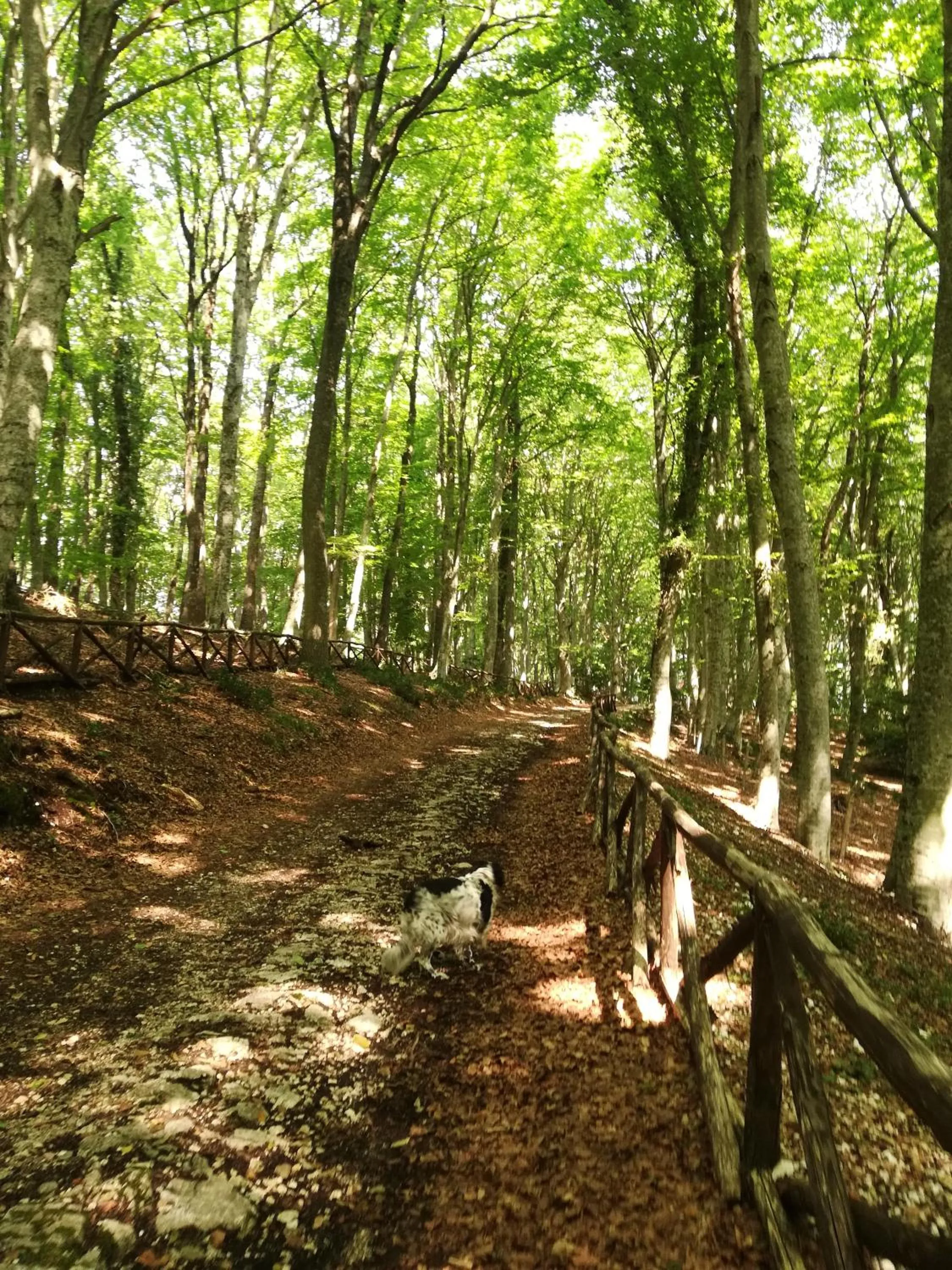 Nearby landmark in B&B Palazzo de Matteis