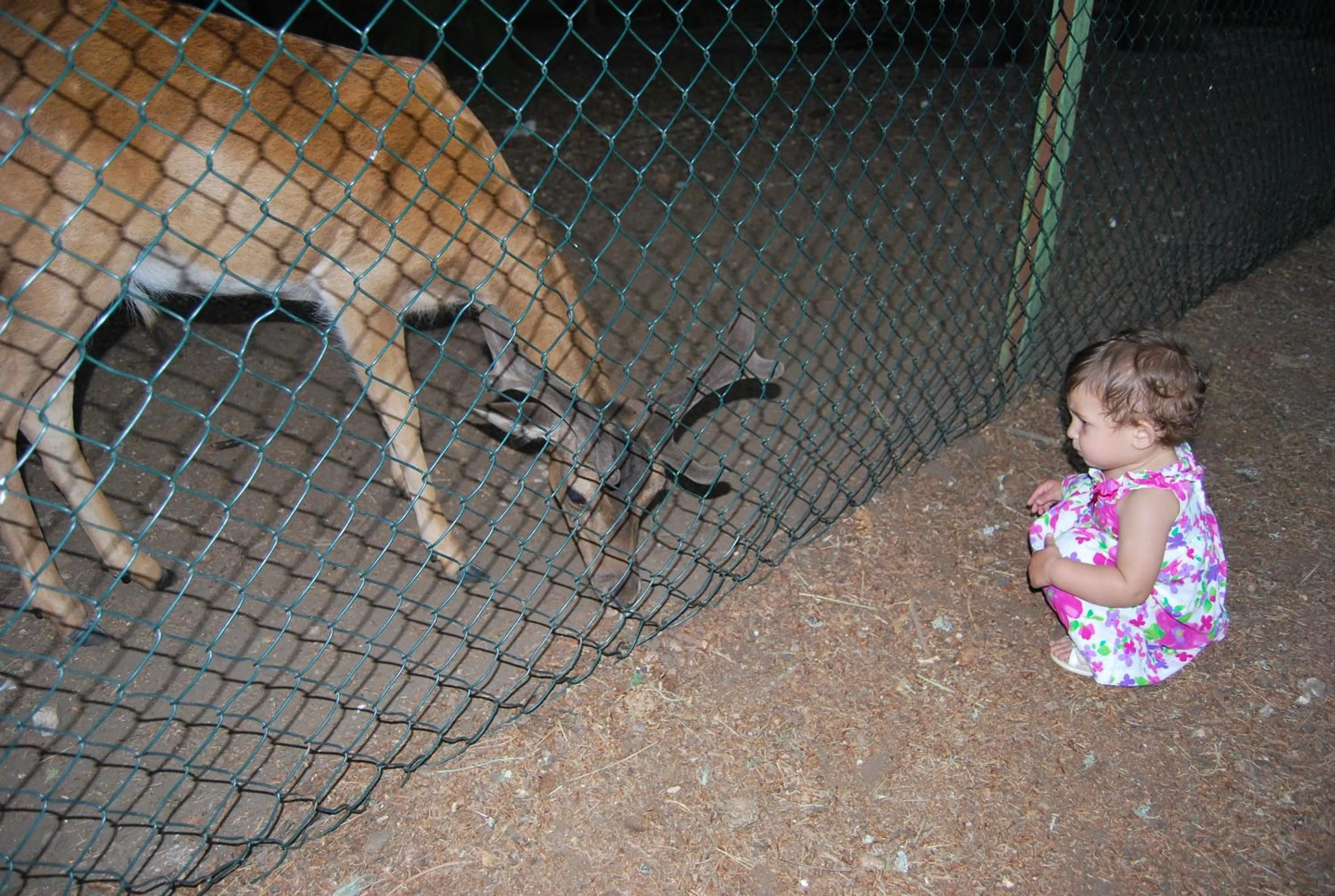 Natural landscape in B&B Palazzo de Matteis