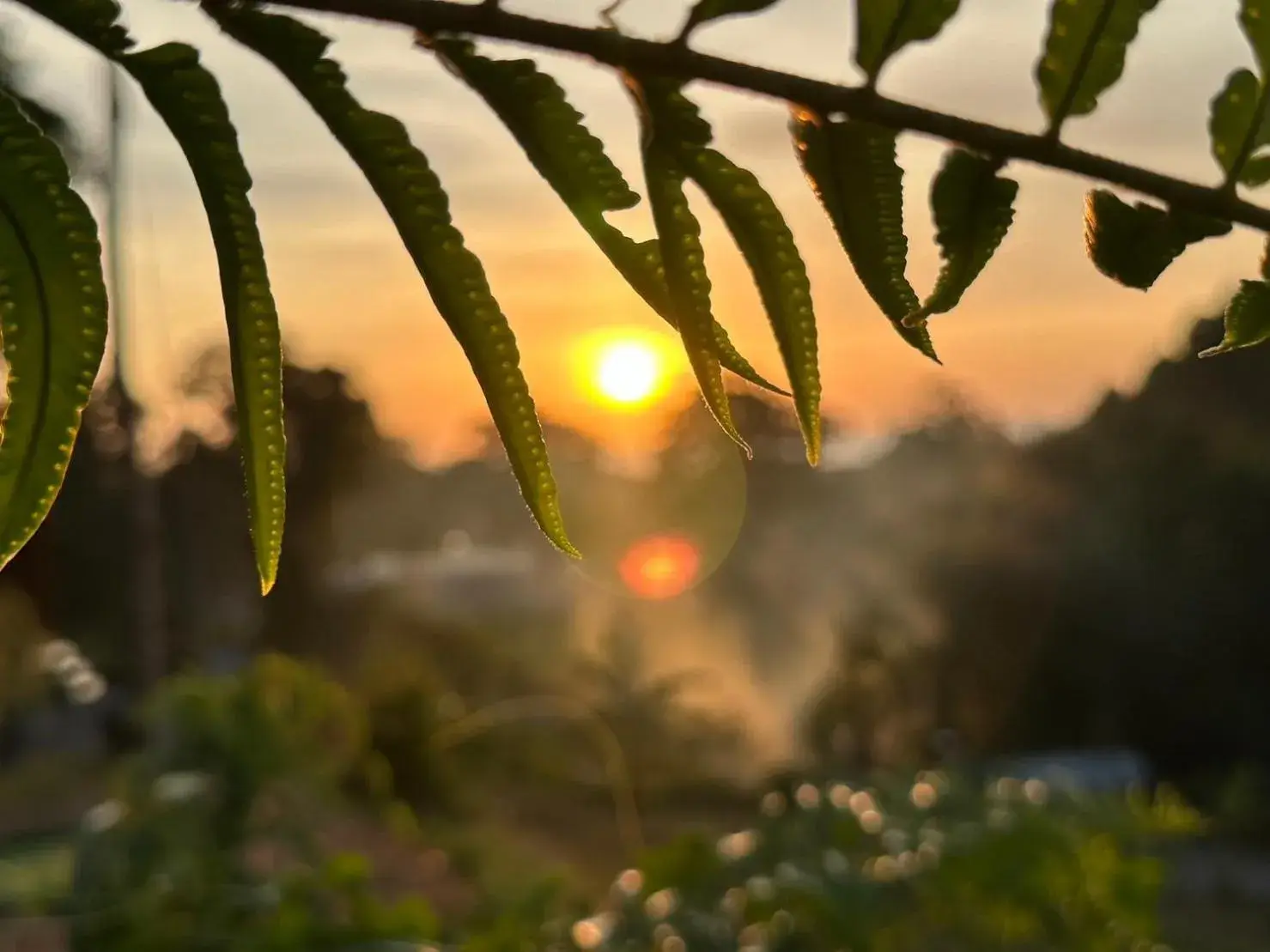 Natural landscape in So View Phuket Resort Natural landscape in So View Phuket Resort