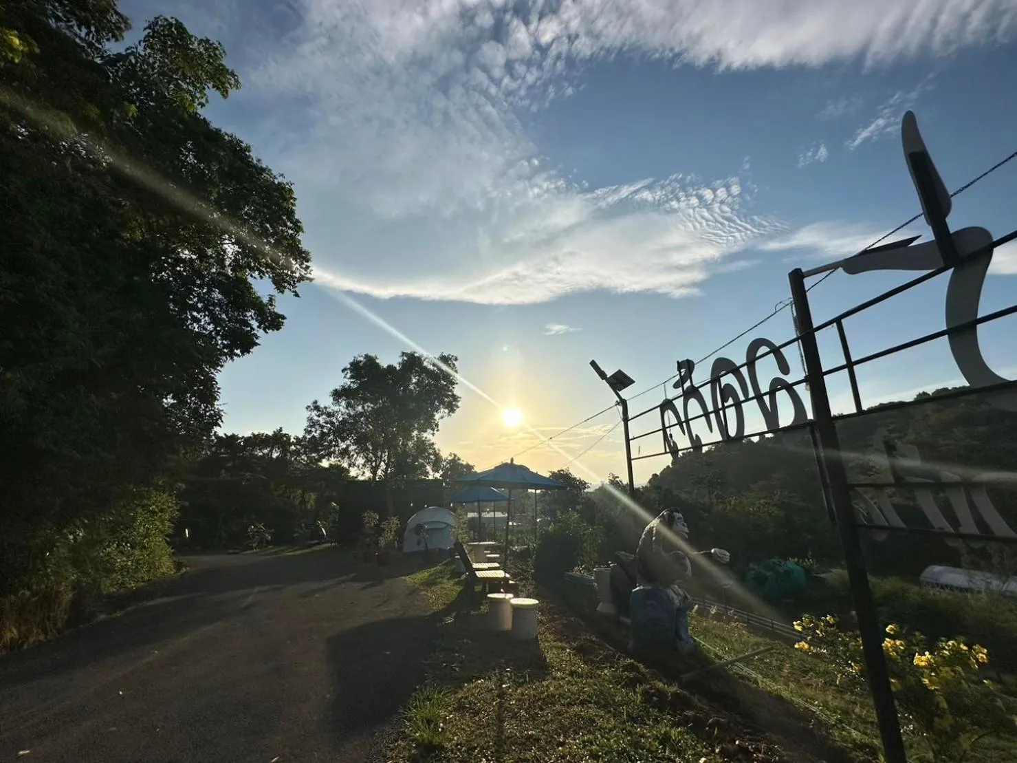 Garden in So View Phuket Resort