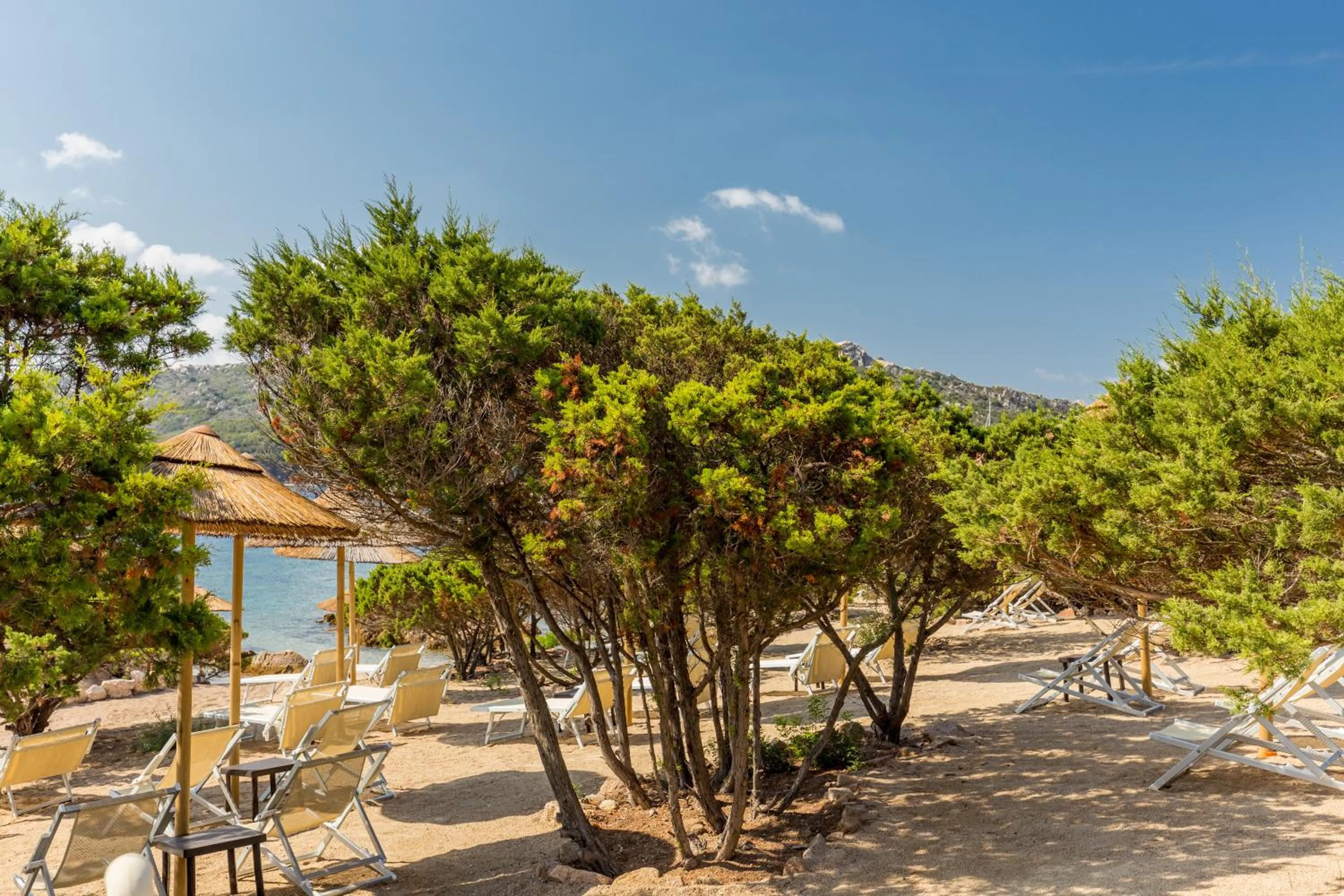Natural landscape in Hotel Cala Lunga