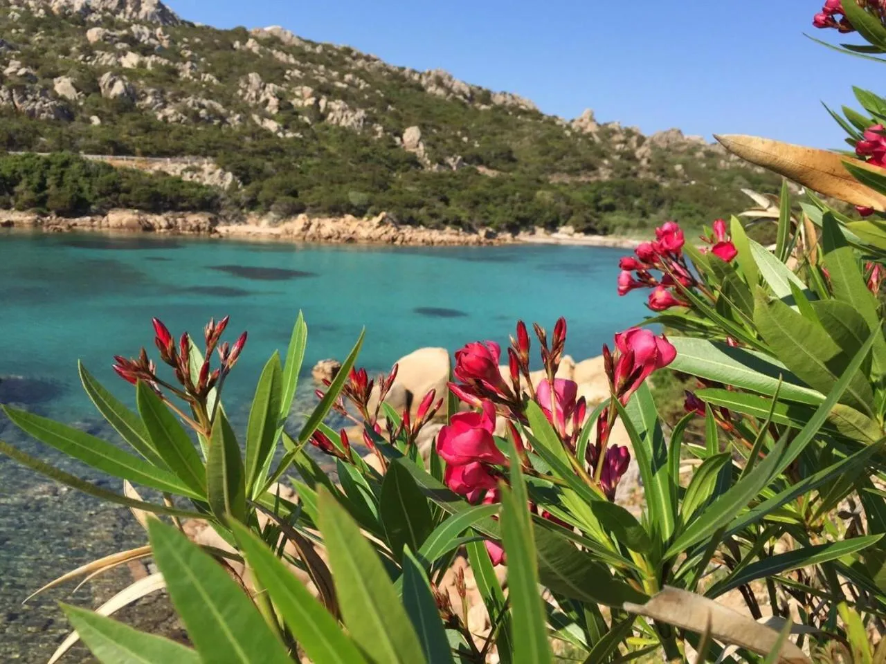Natural landscape in Hotel Cala Lunga