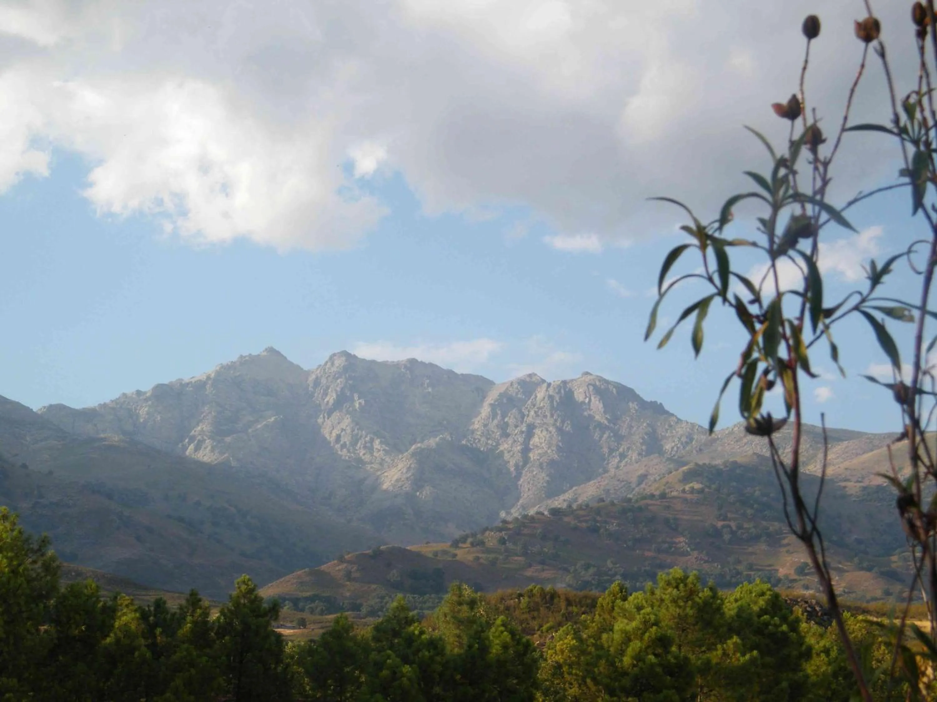 View (from property/room) in El Rincón de los Riveros