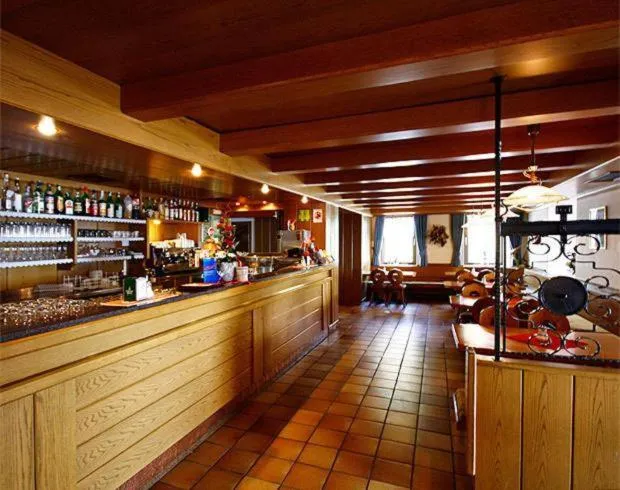 Lounge or bar in Alpin Hotel & Restaurant Frara