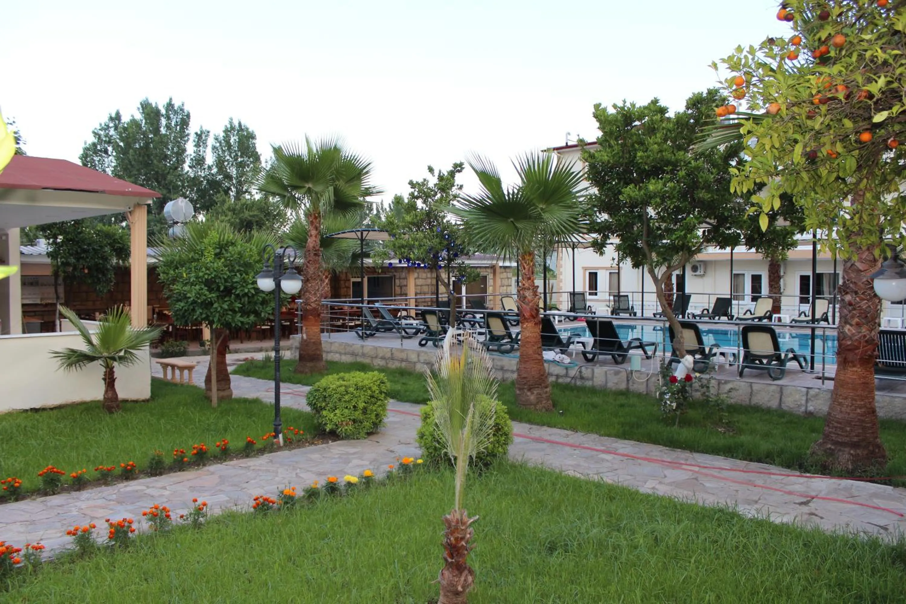 Spring in Hotel Gold Stone
