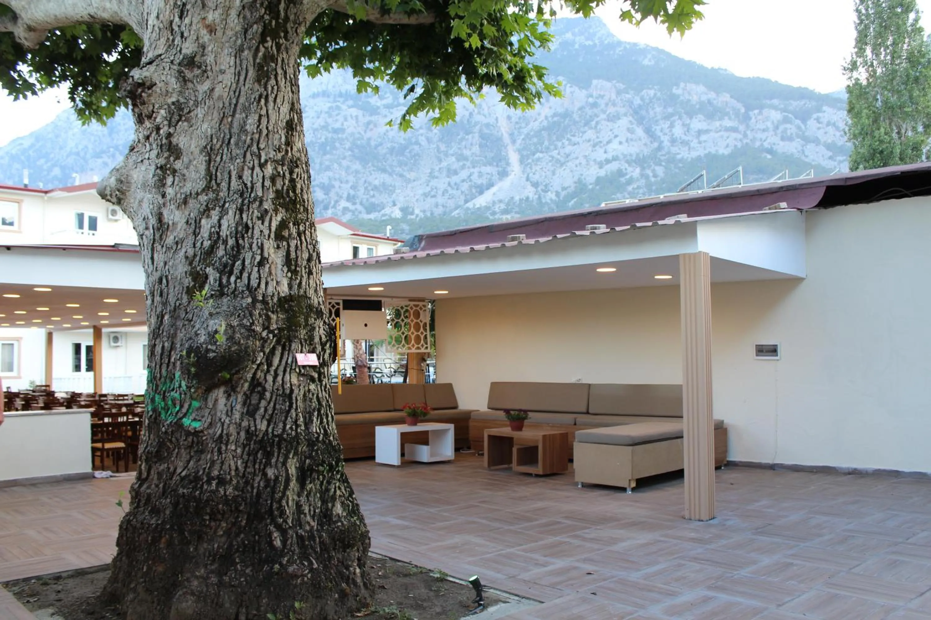 Spring in Hotel Gold Stone