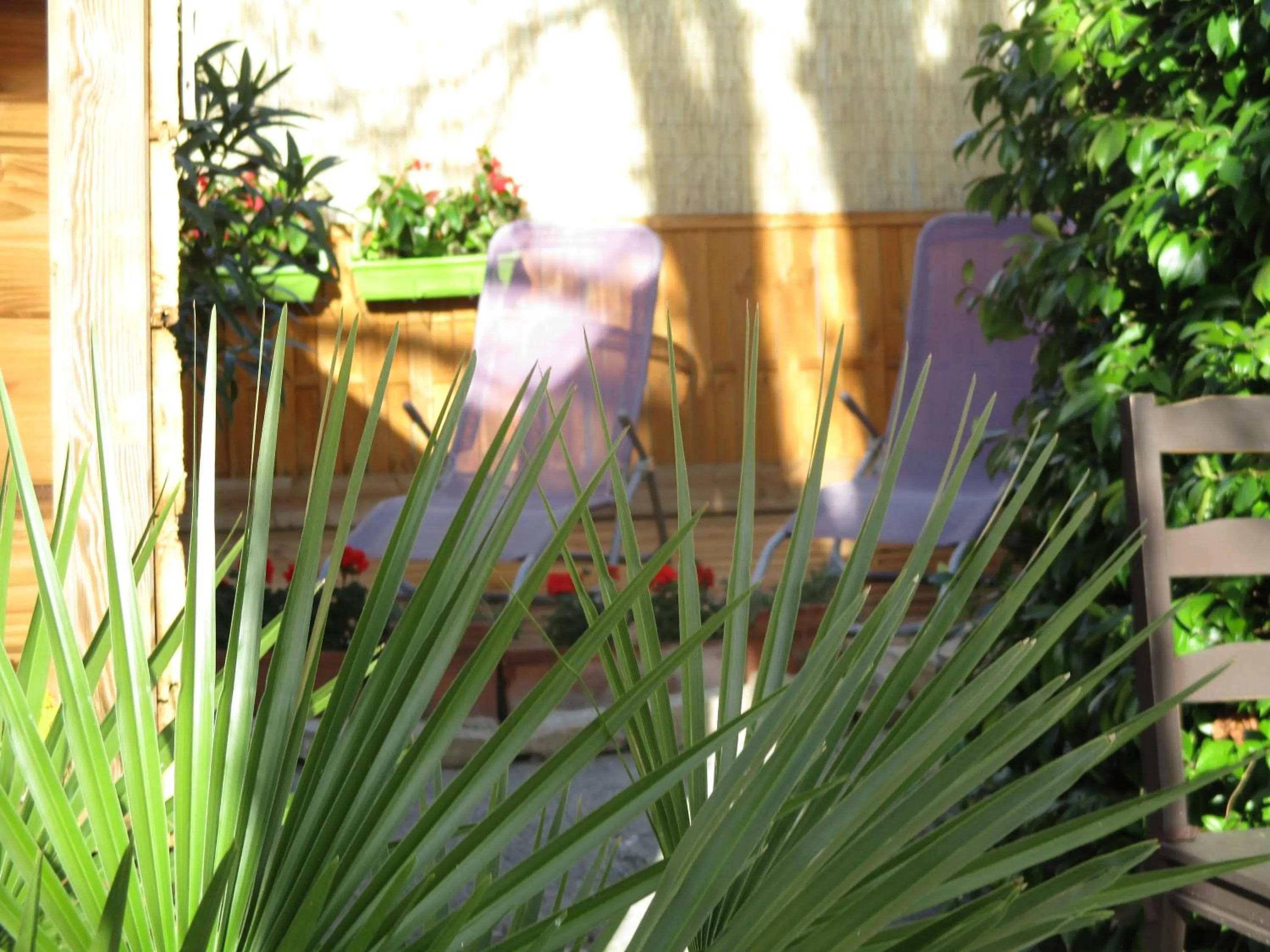 Garden in hôtel la tour des fées