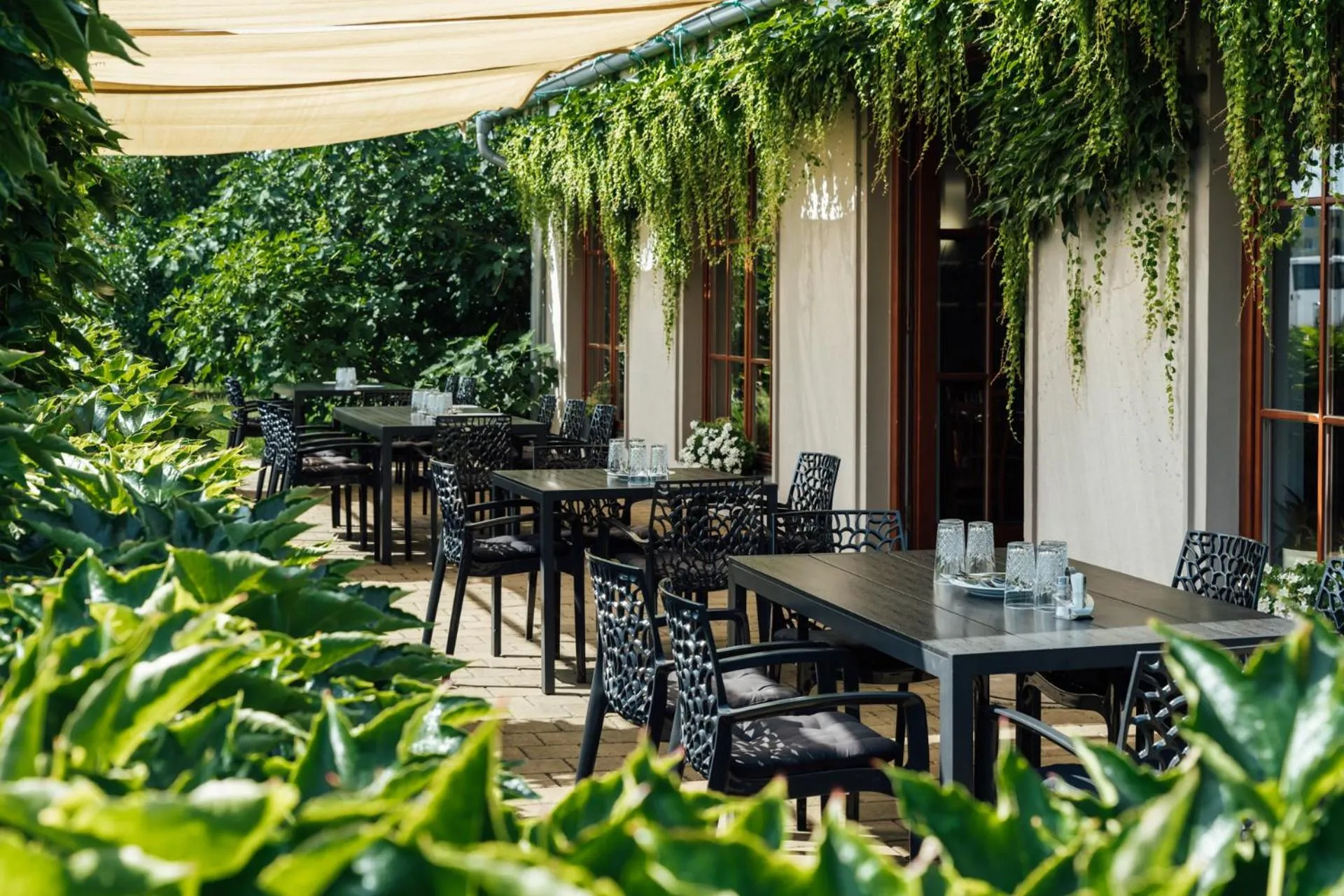 Restaurant/places to eat in Hotel Maroli Mikulov