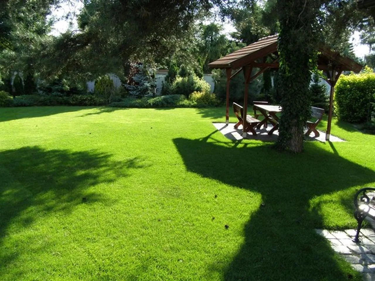 Garden in Motel Comet