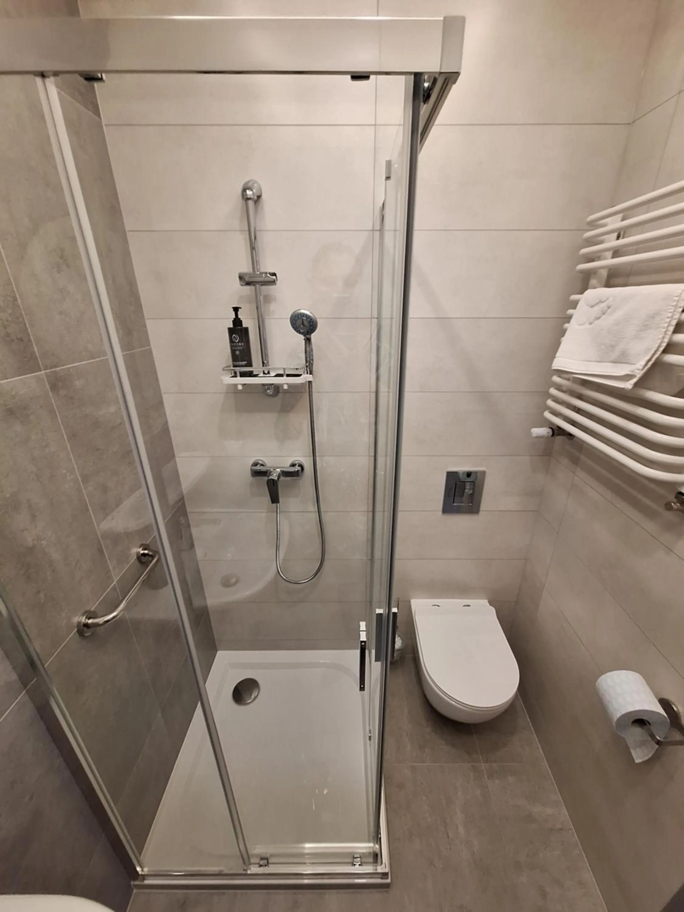 Shower in Motel Comet