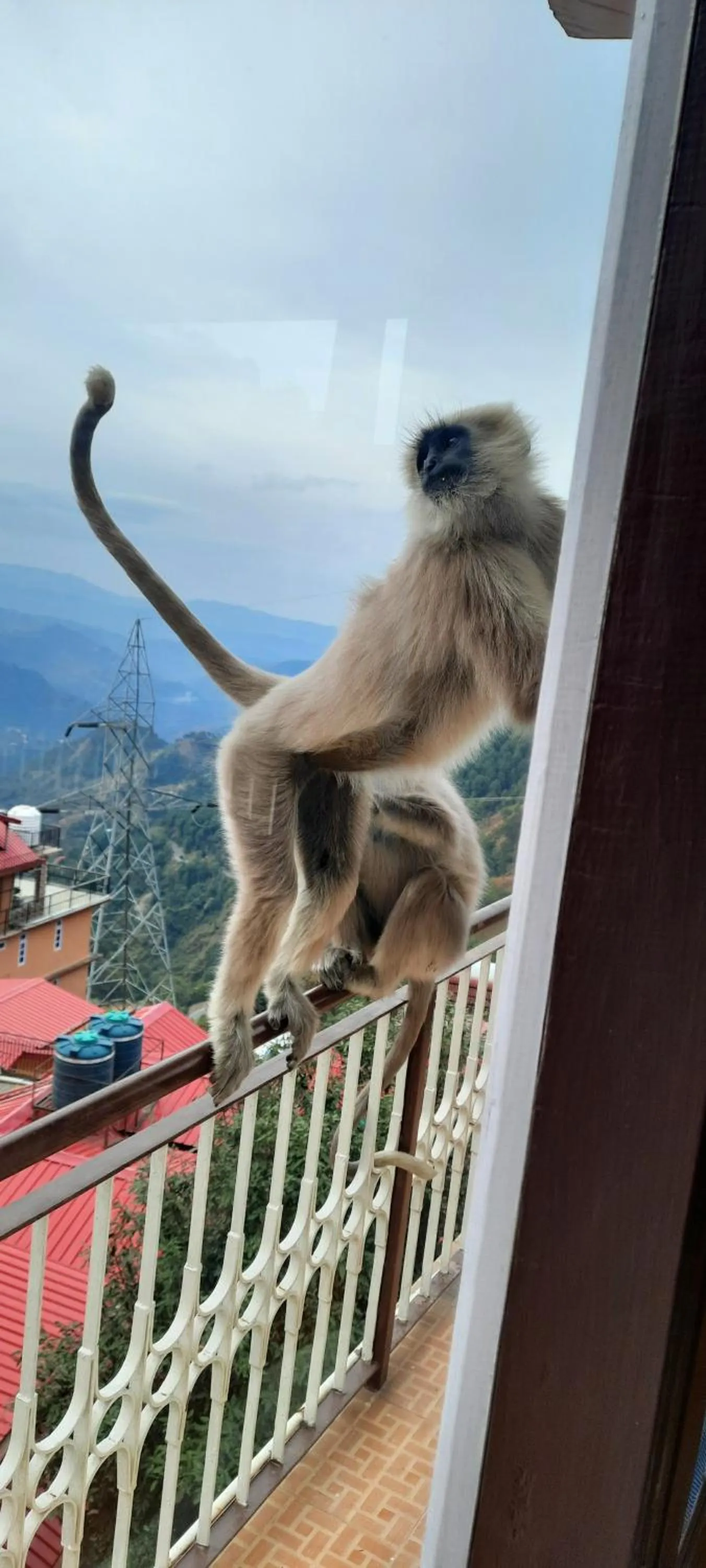 Balcony/Terrace in Om Niwas Homestay