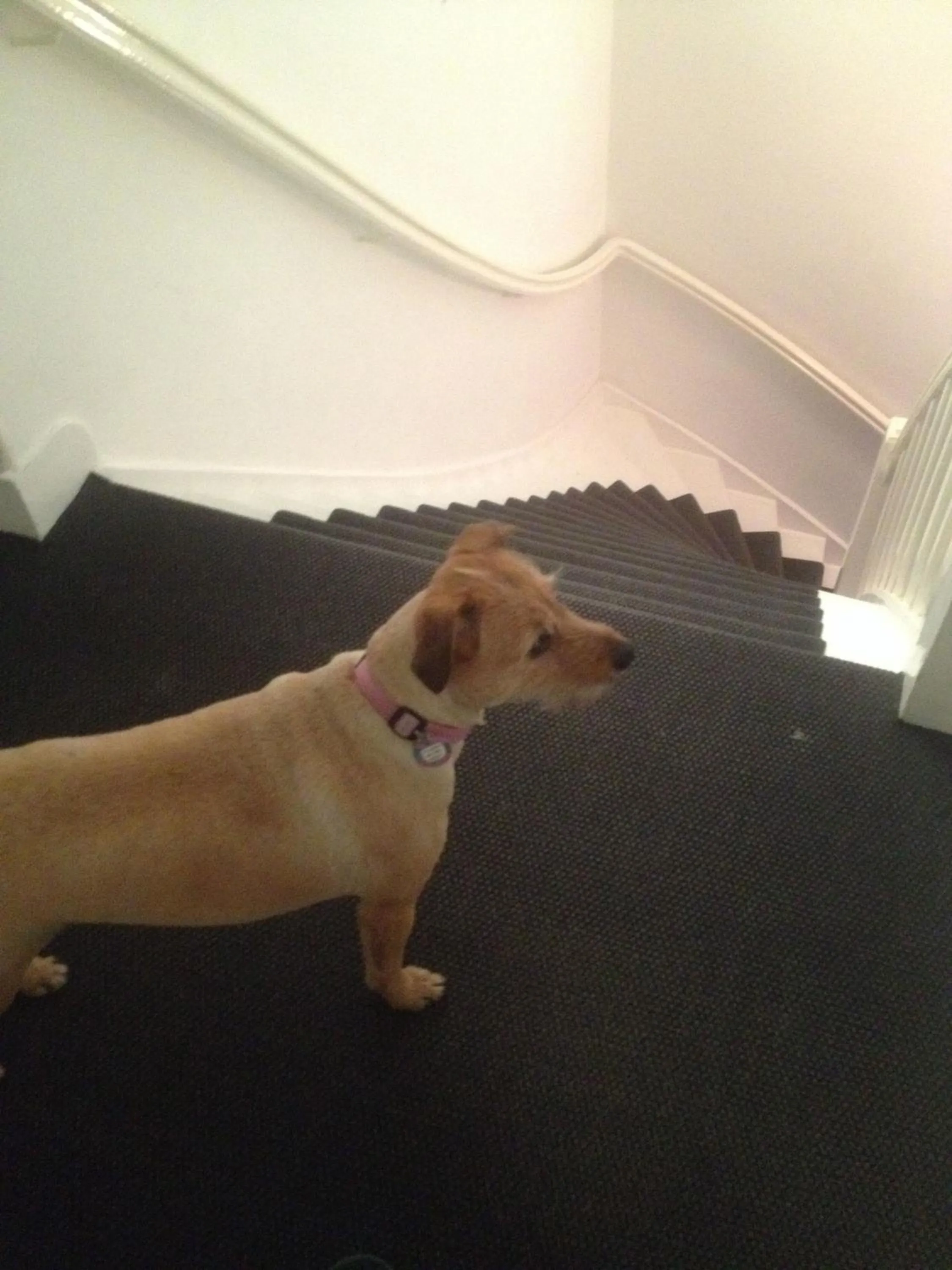 Decorative detail in Hotel Zeespiegel