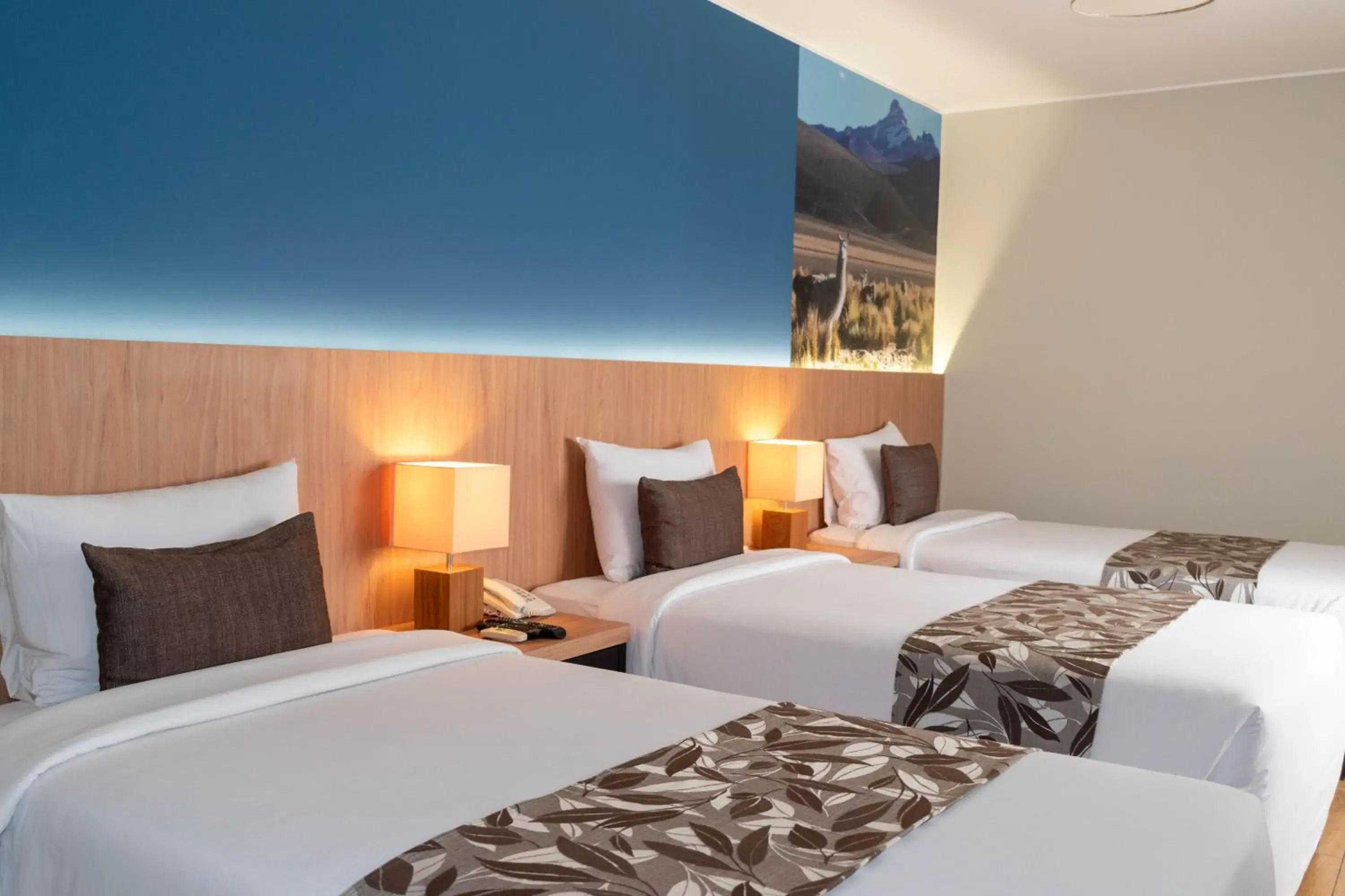 Photo of the whole room, Bed in Hotel El Tambo 2 Photo of the whole room, Bed in Hotel El Tambo 2