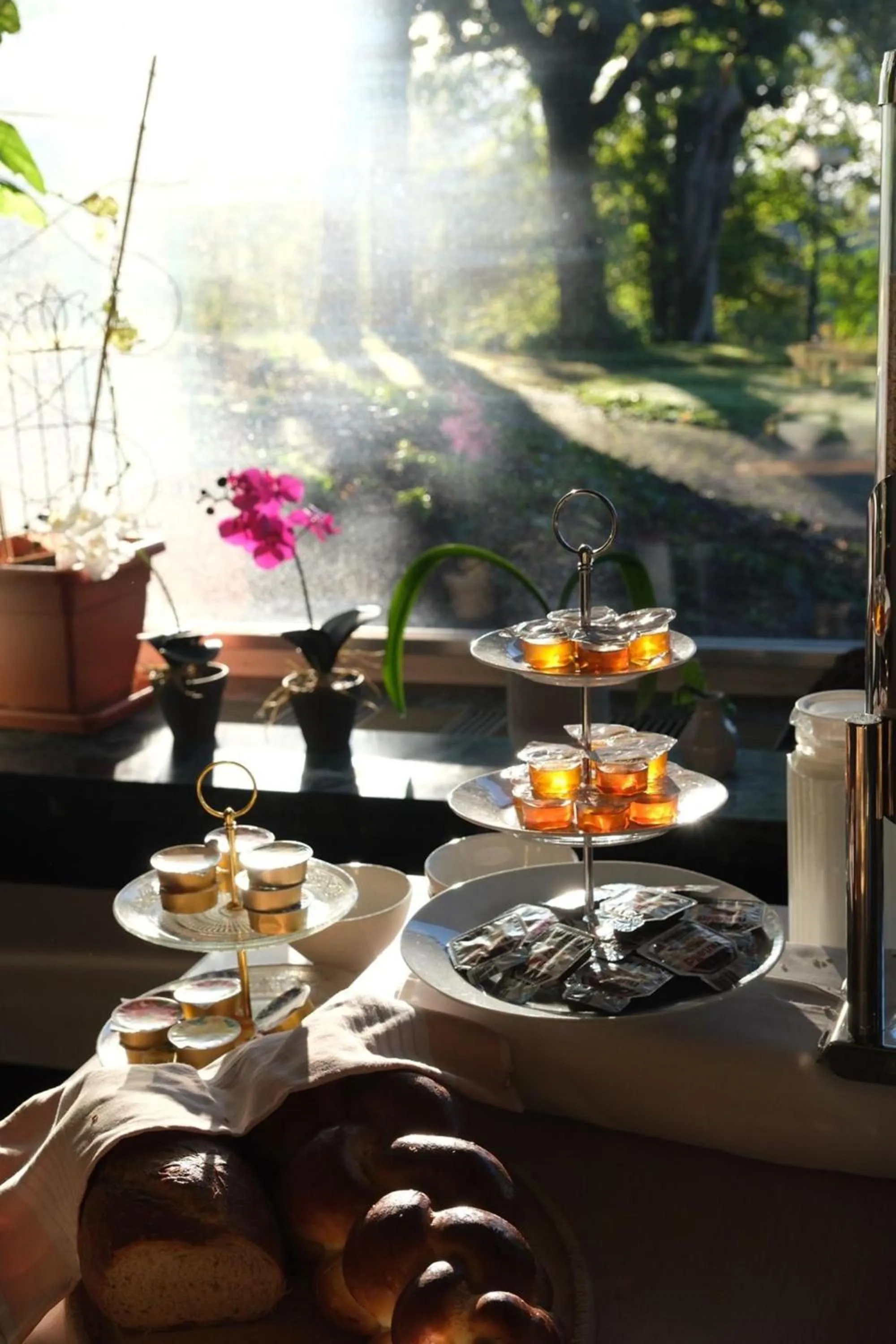 Beatenberg Resort & Spa in Beatenberg Interlaken