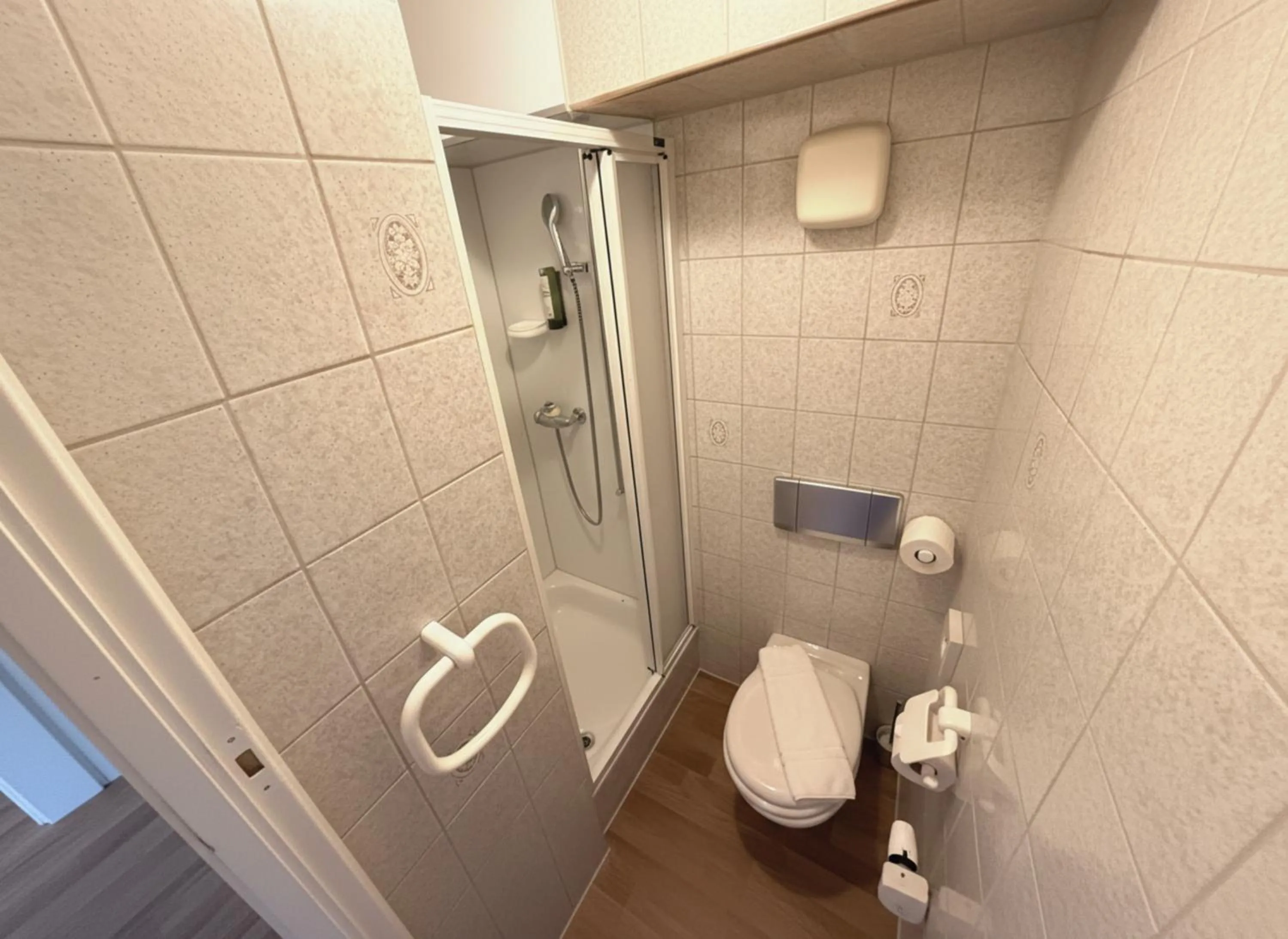 Toilet in Beatenberg Resort & Spa in Beatenberg Interlaken