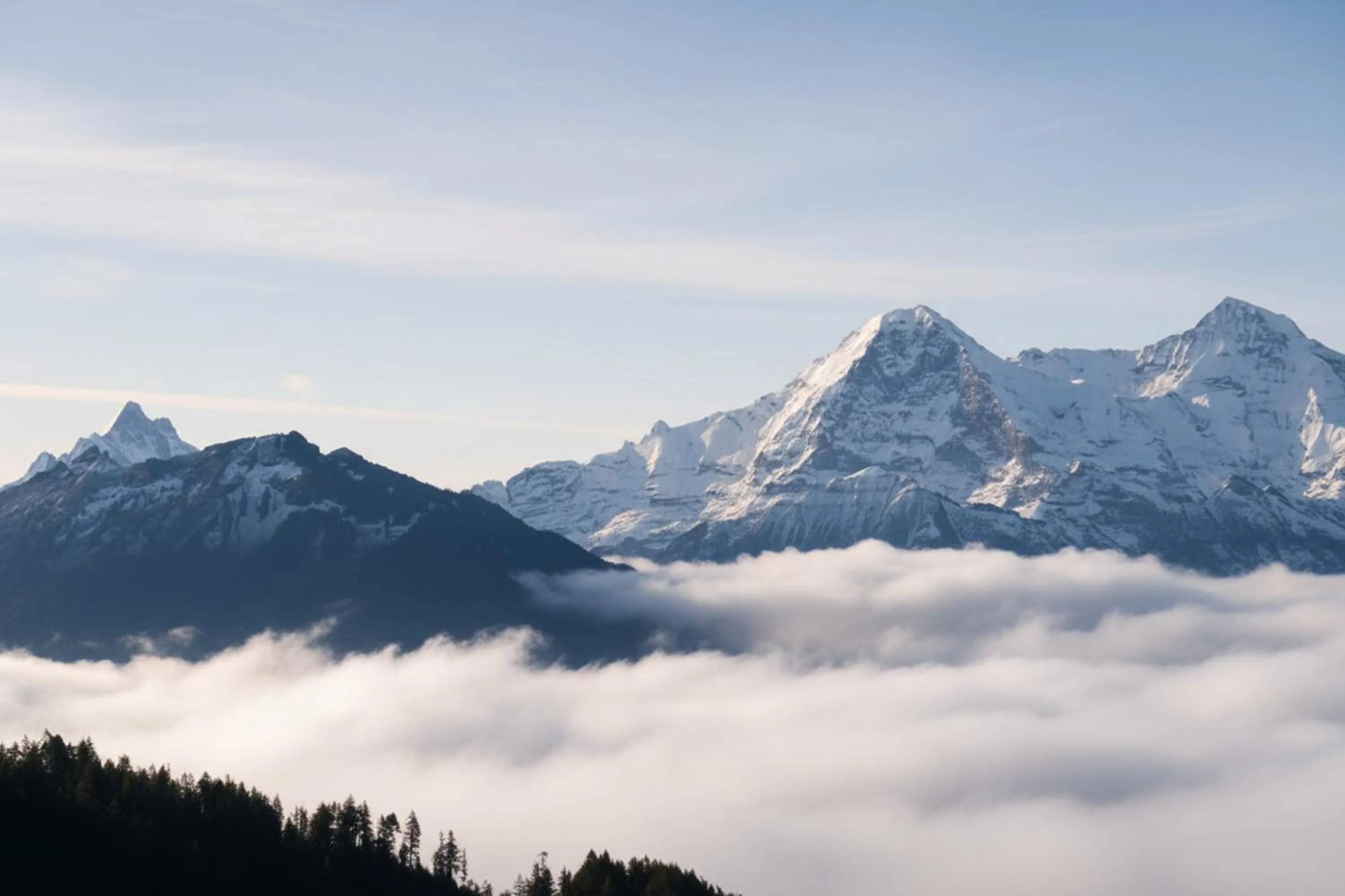 Beatenberg Resort & Spa in Beatenberg Interlaken