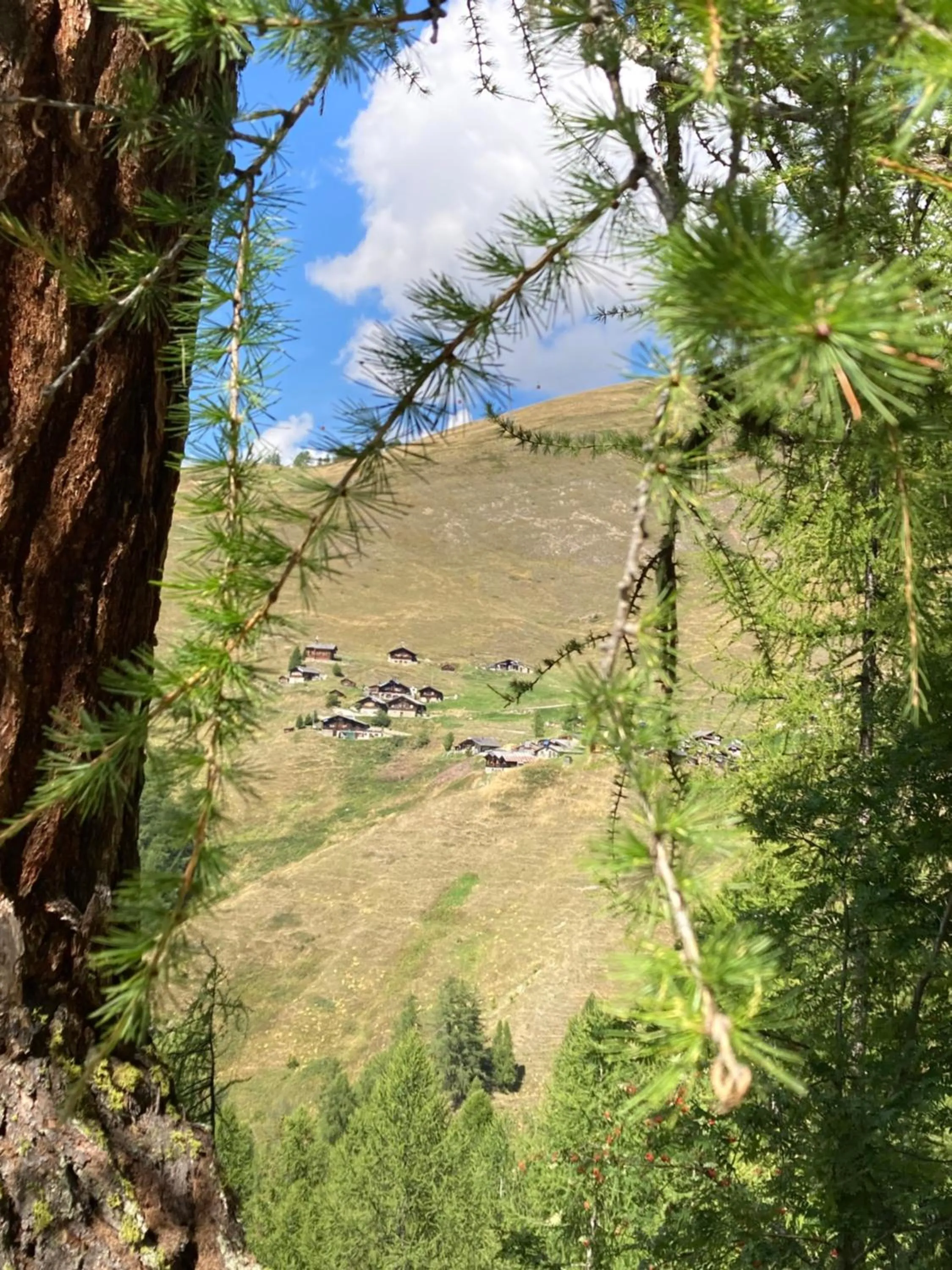 Natural landscape in Haus Rhodania