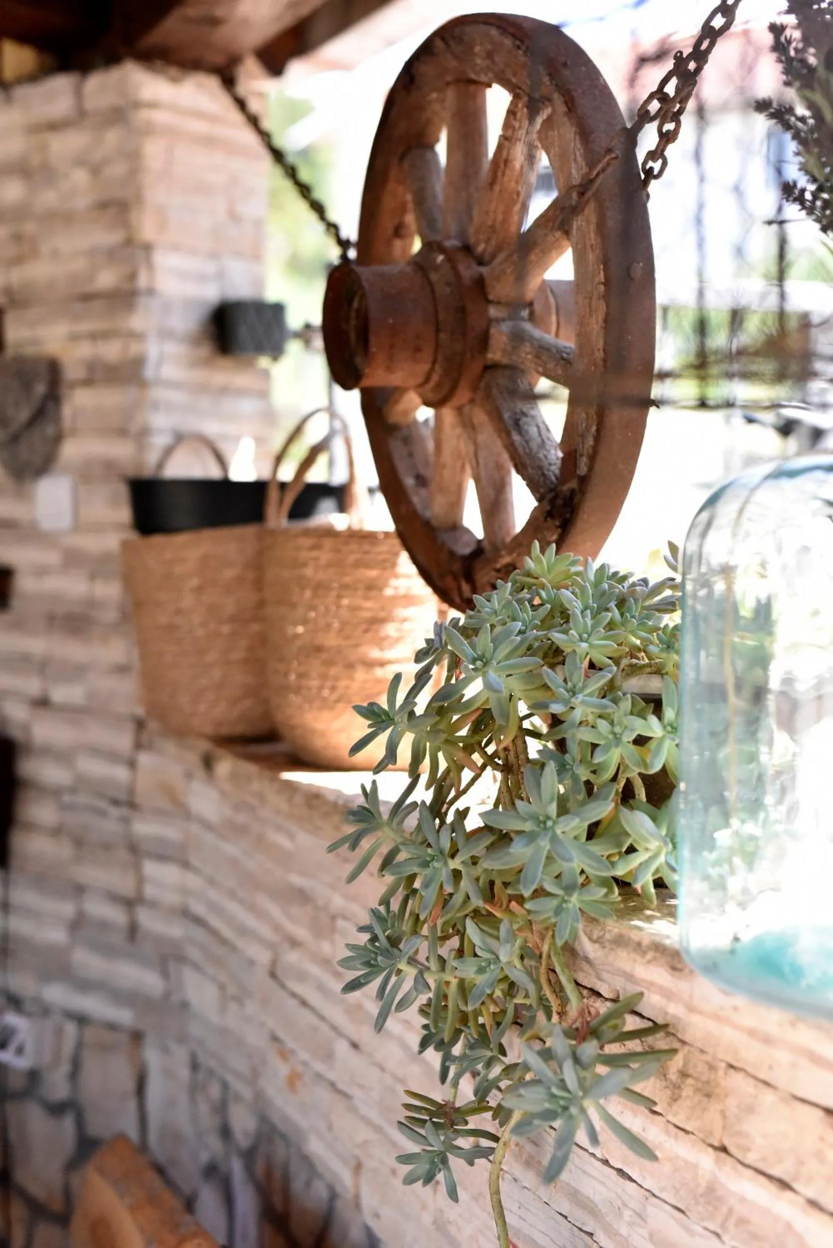Garden in Luxury apartment N