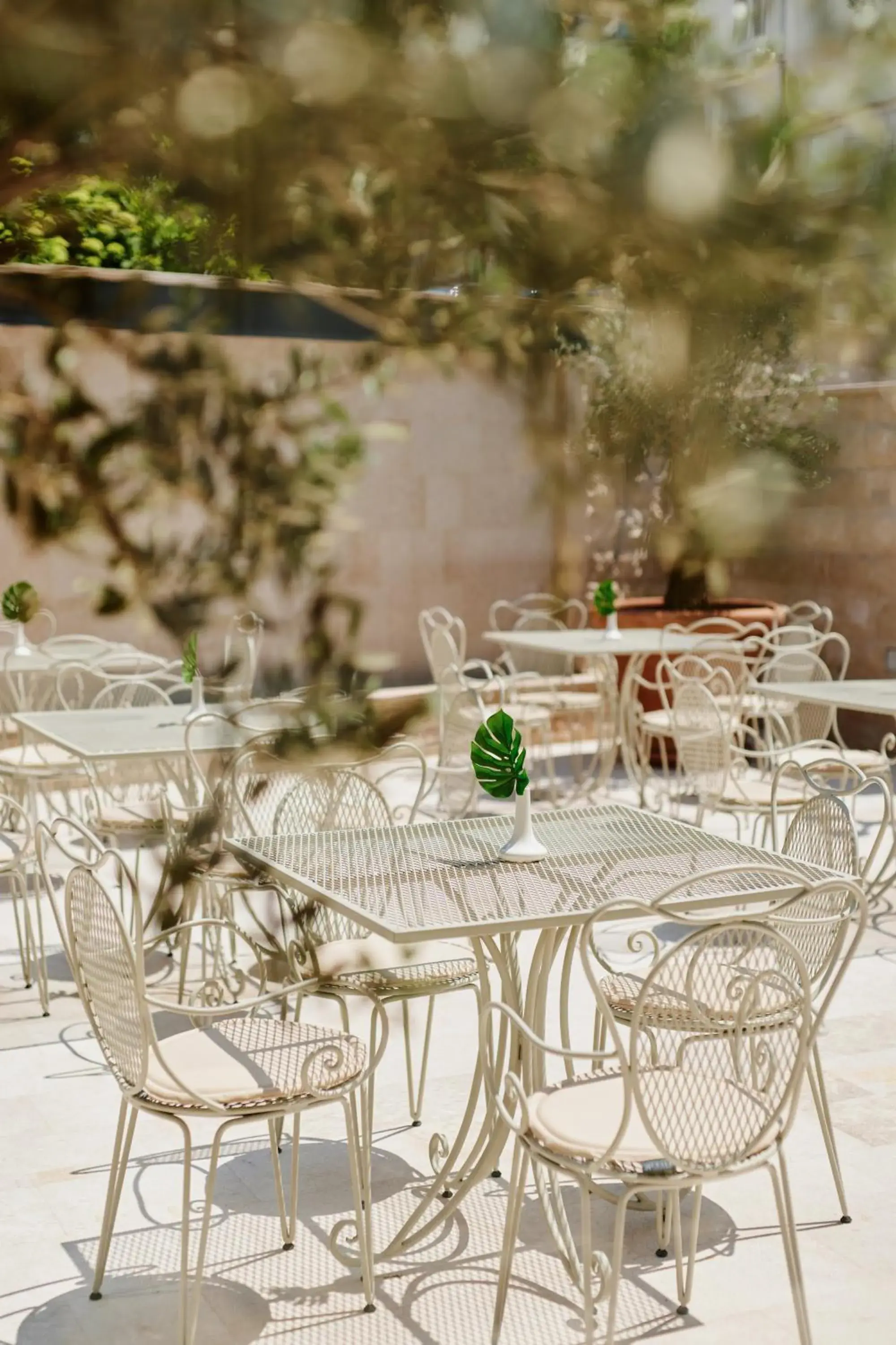 Restaurant/places to eat in Hotel Diplomat by Aycon Restaurant/places to eat in Hotel Diplomat by Aycon