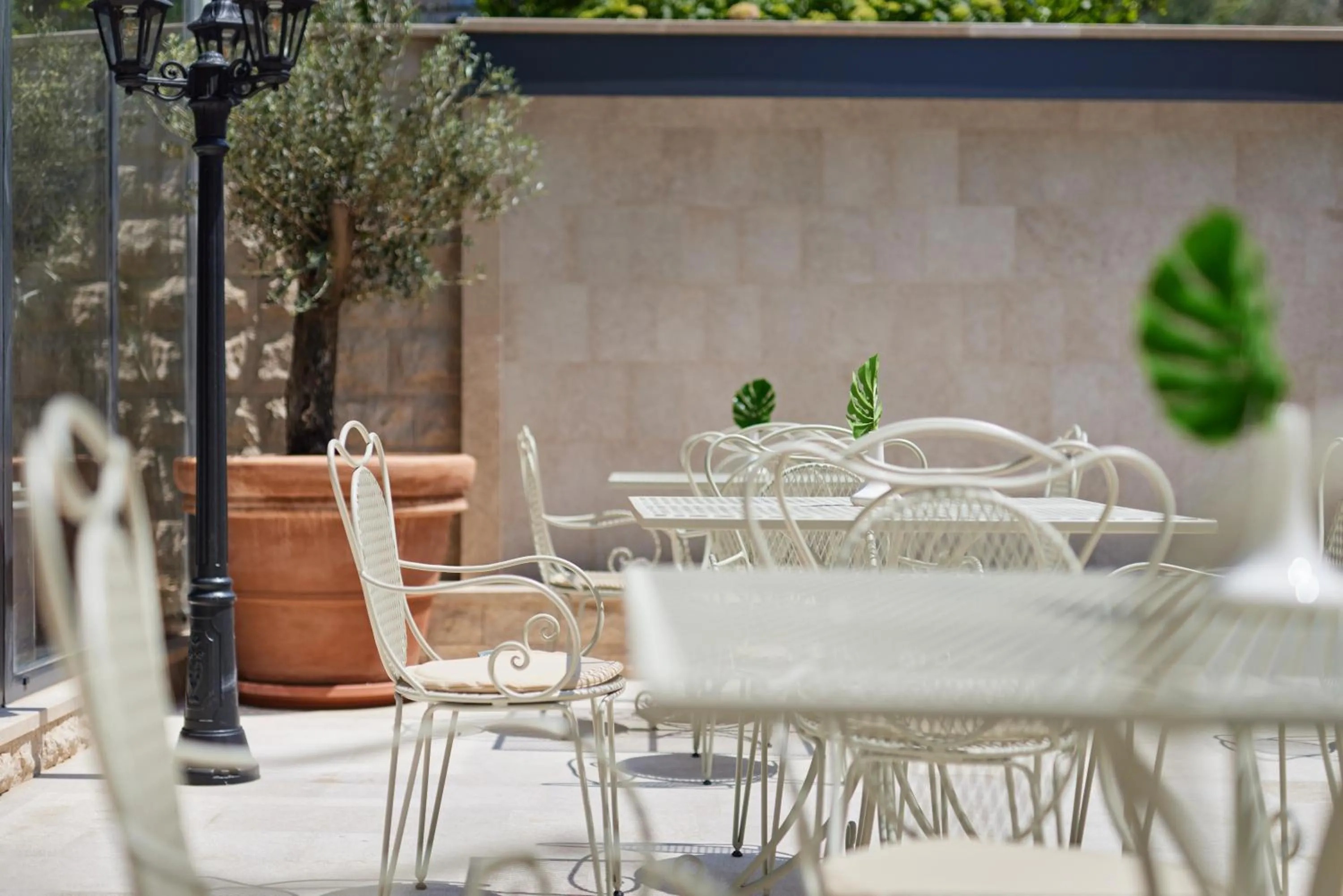 Dining area in Hotel Diplomat by Aycon