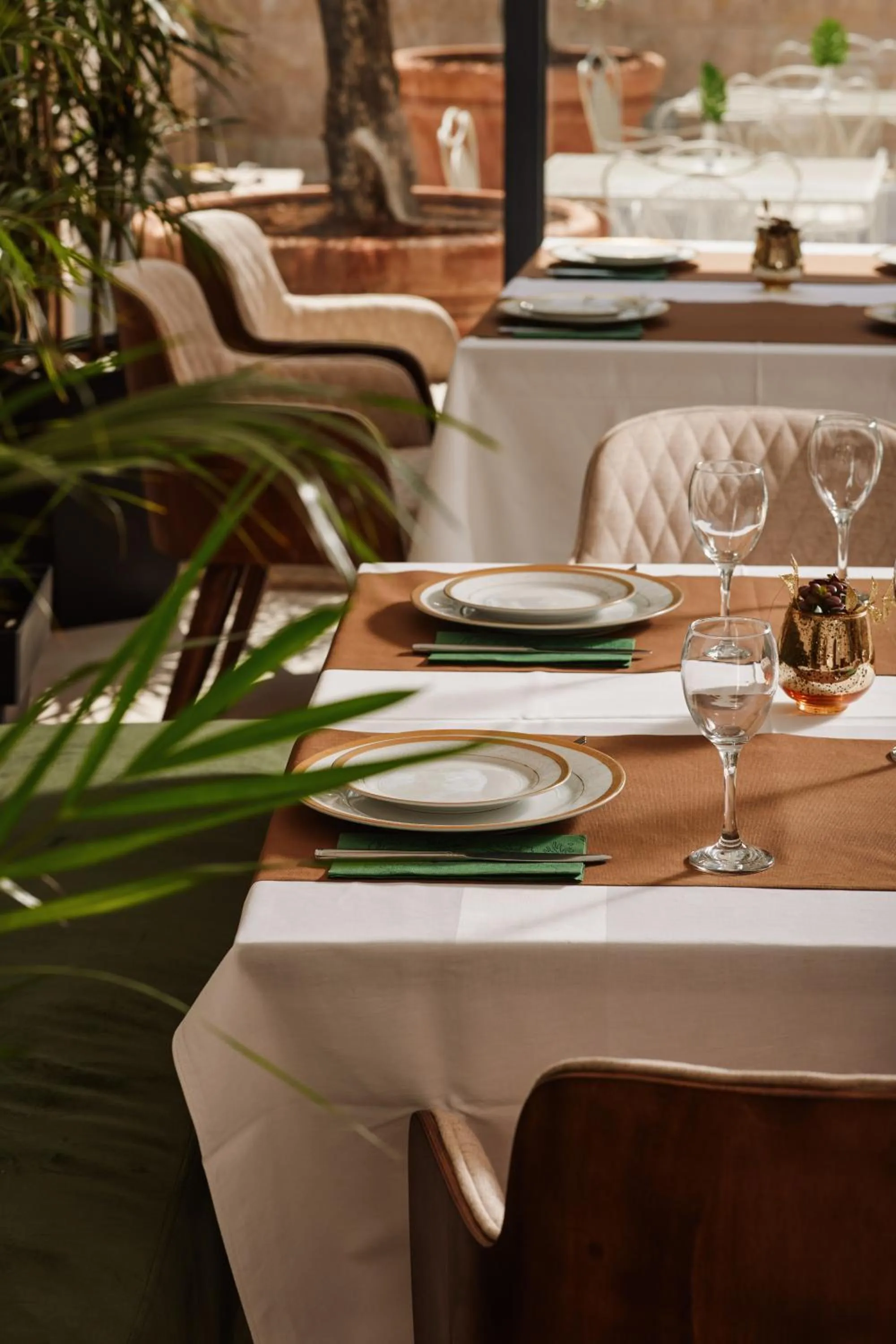 Food and drinks in Hotel Diplomat by Aycon