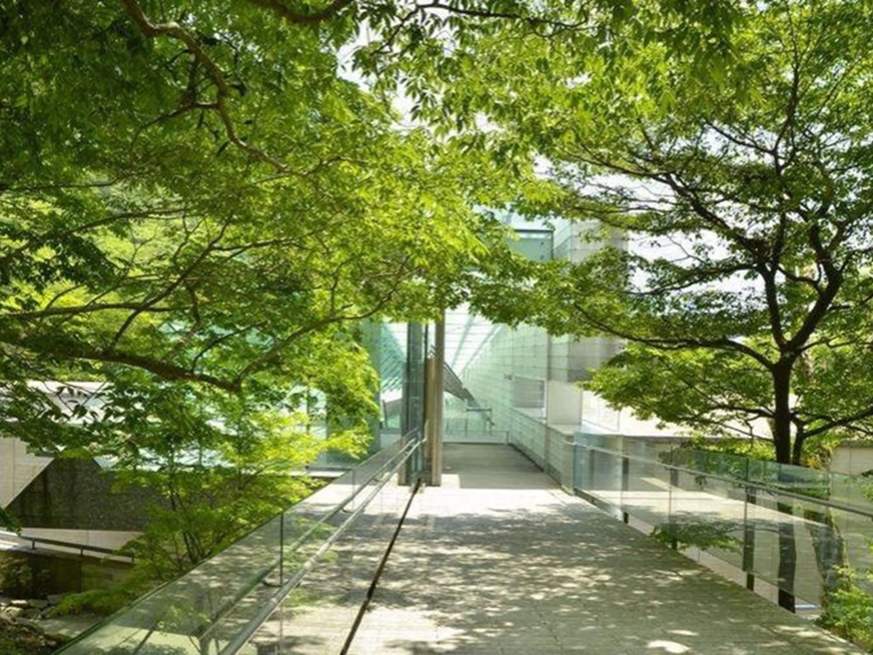 Natural landscape in Hakone Sengokuhara Prince Hotel