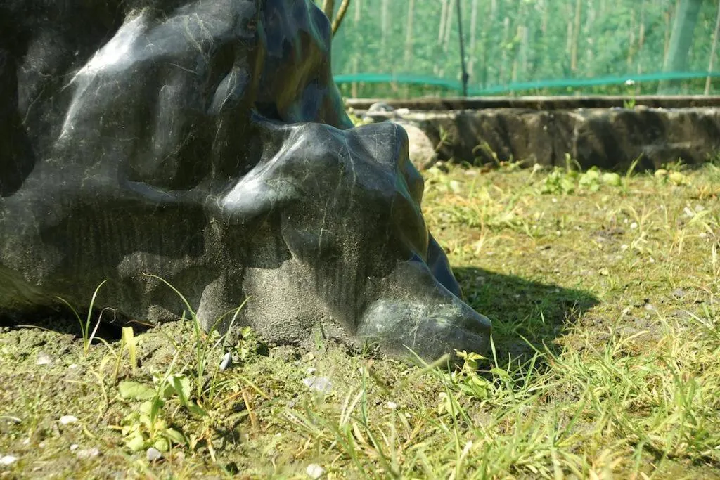 Cow House