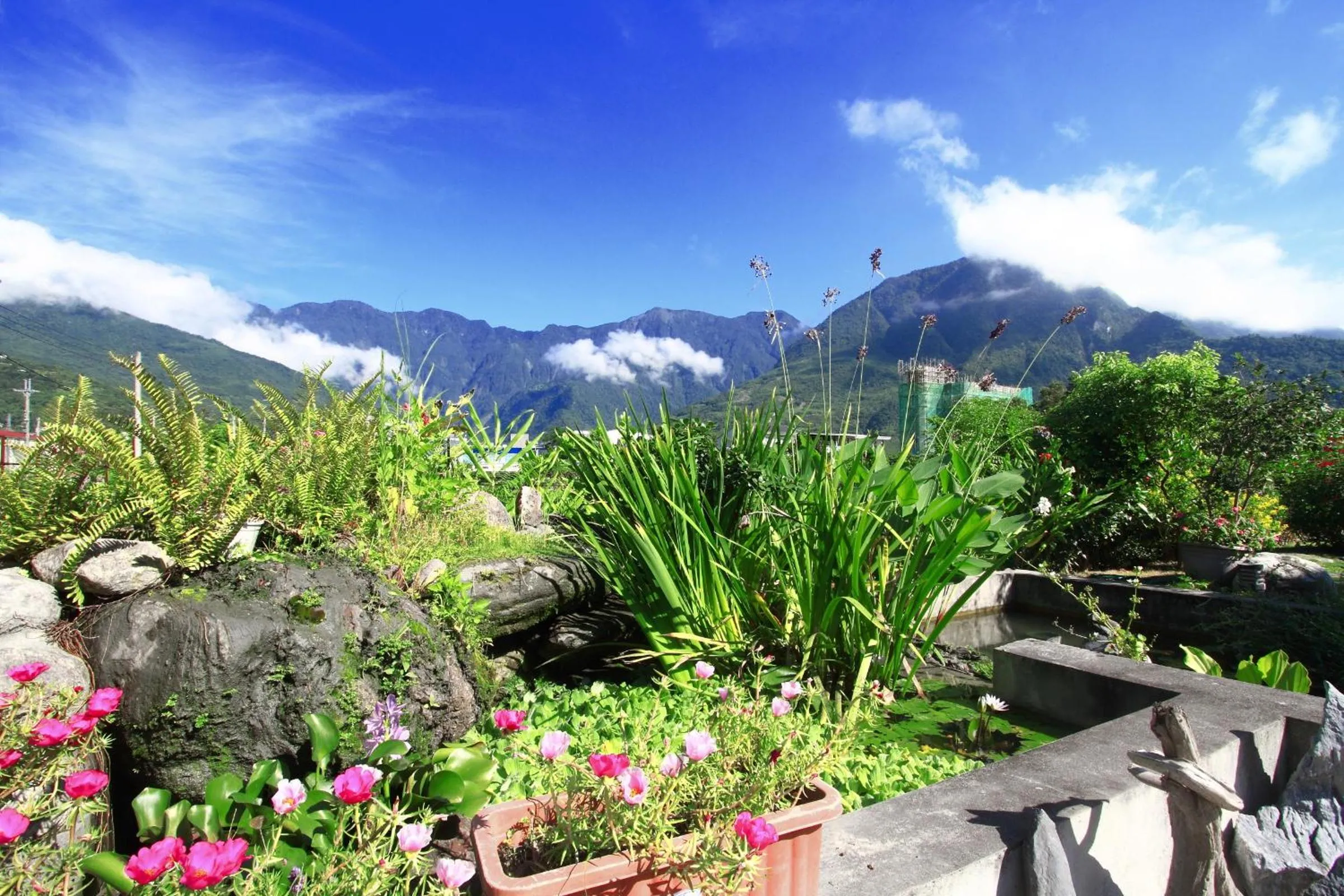 Garden in Mandheling B&B
