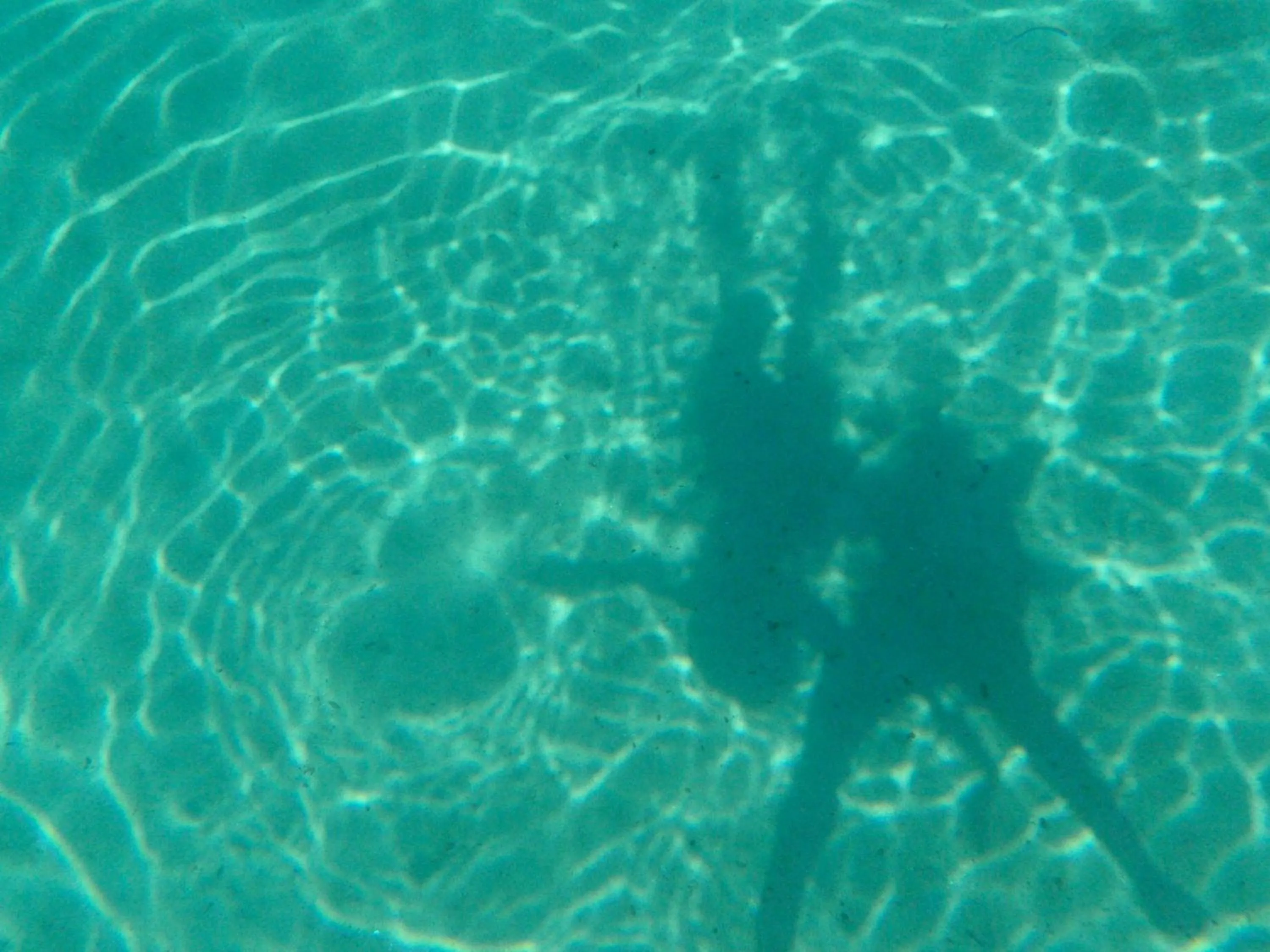 Summer in Casa Kalypso